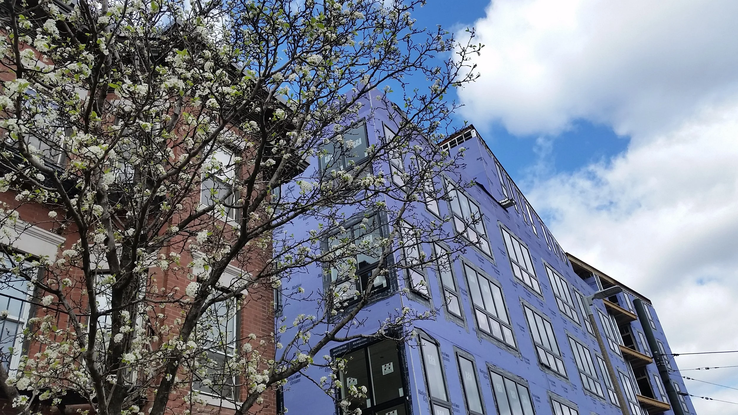 35 South Huntington - Facade_Progress_01.jpg