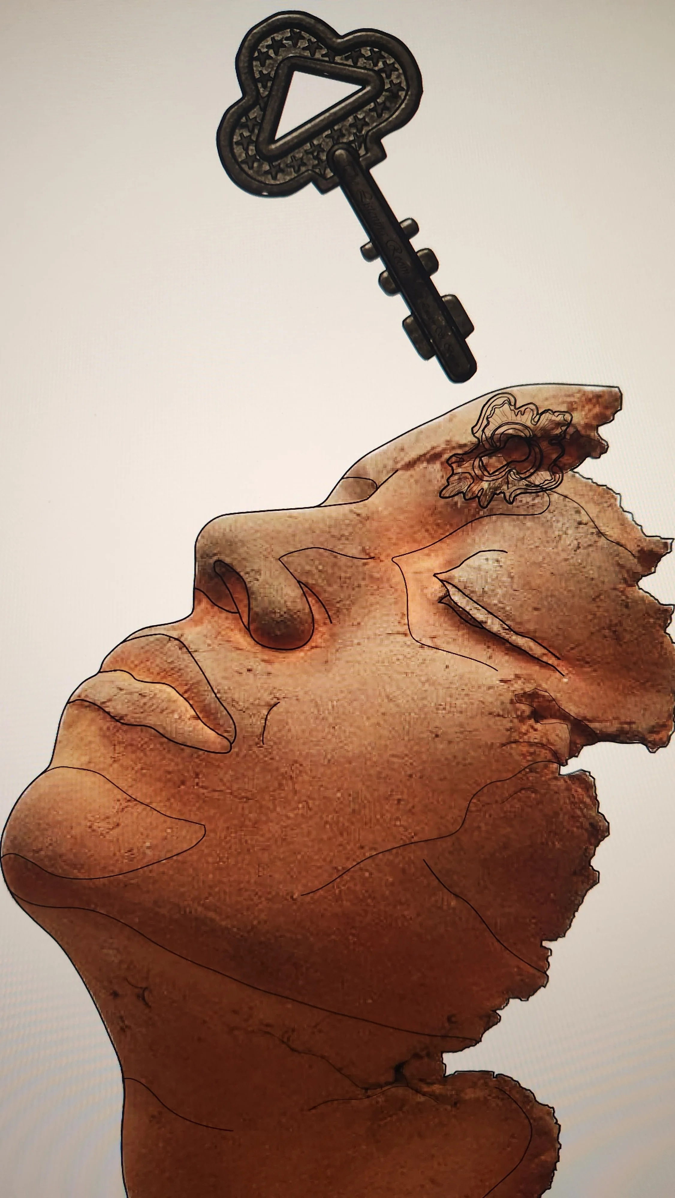 TLR_Process_07.jpg