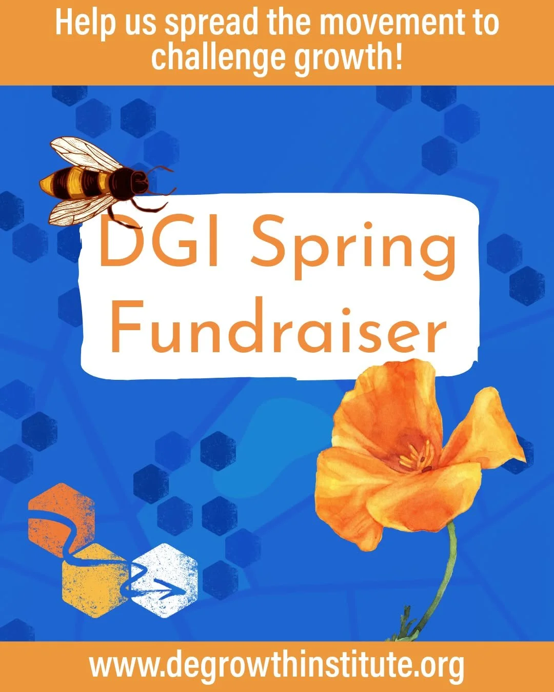 Happy spring everyone! 🦋 🌷 🐌 

The seasons have changed, the cold is starting to fade, and DGI's Spring 2026 crowdfunding campaign has officially launched! We hope you can contribute. Your contributions will help us to continue our work, and espec