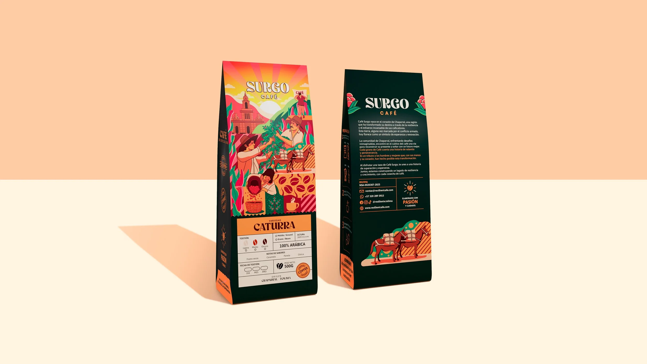 MOCKUP CON 2 DISEÑOS.jpg