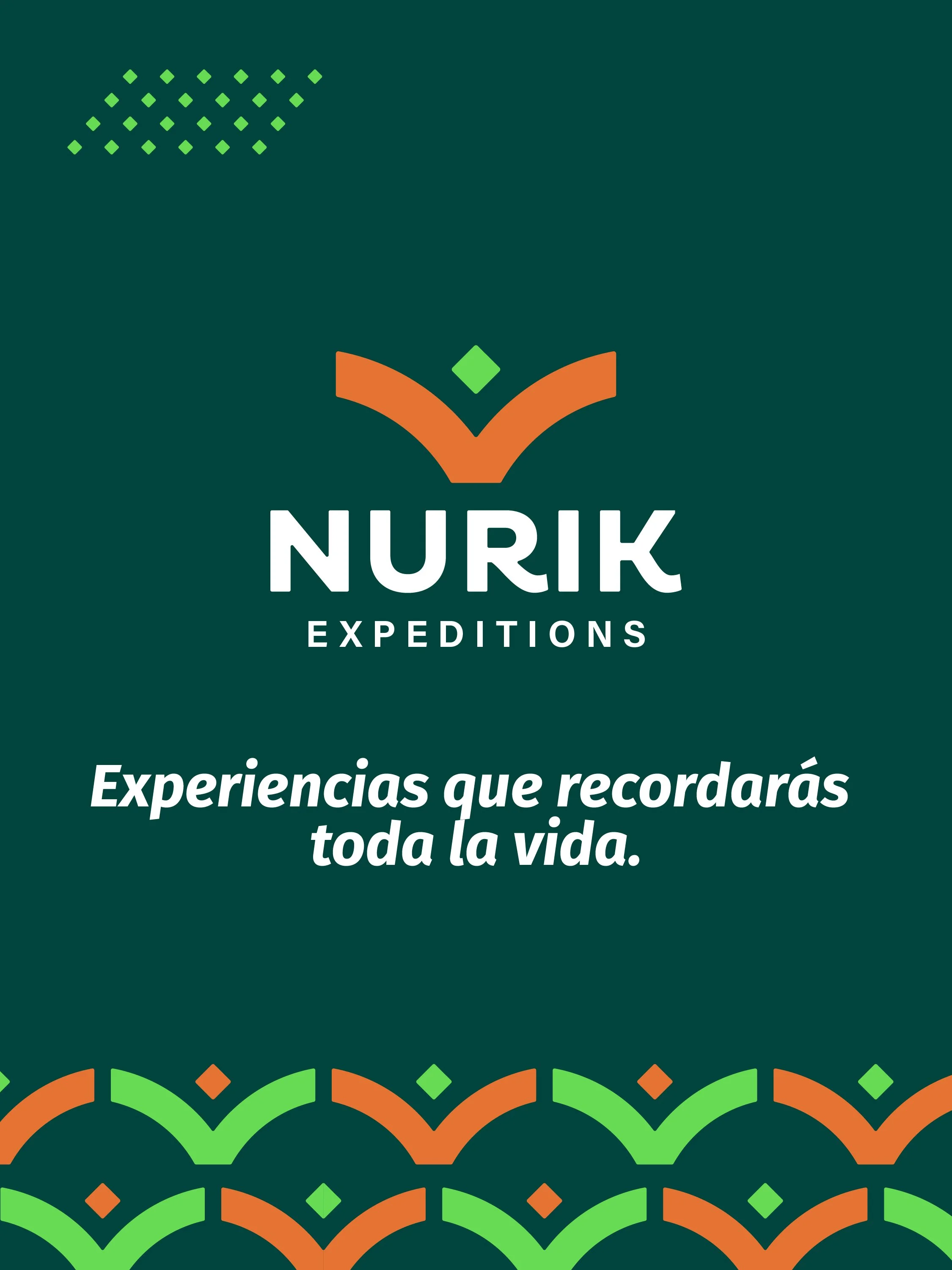 elementos graficos nurik-02.jpg