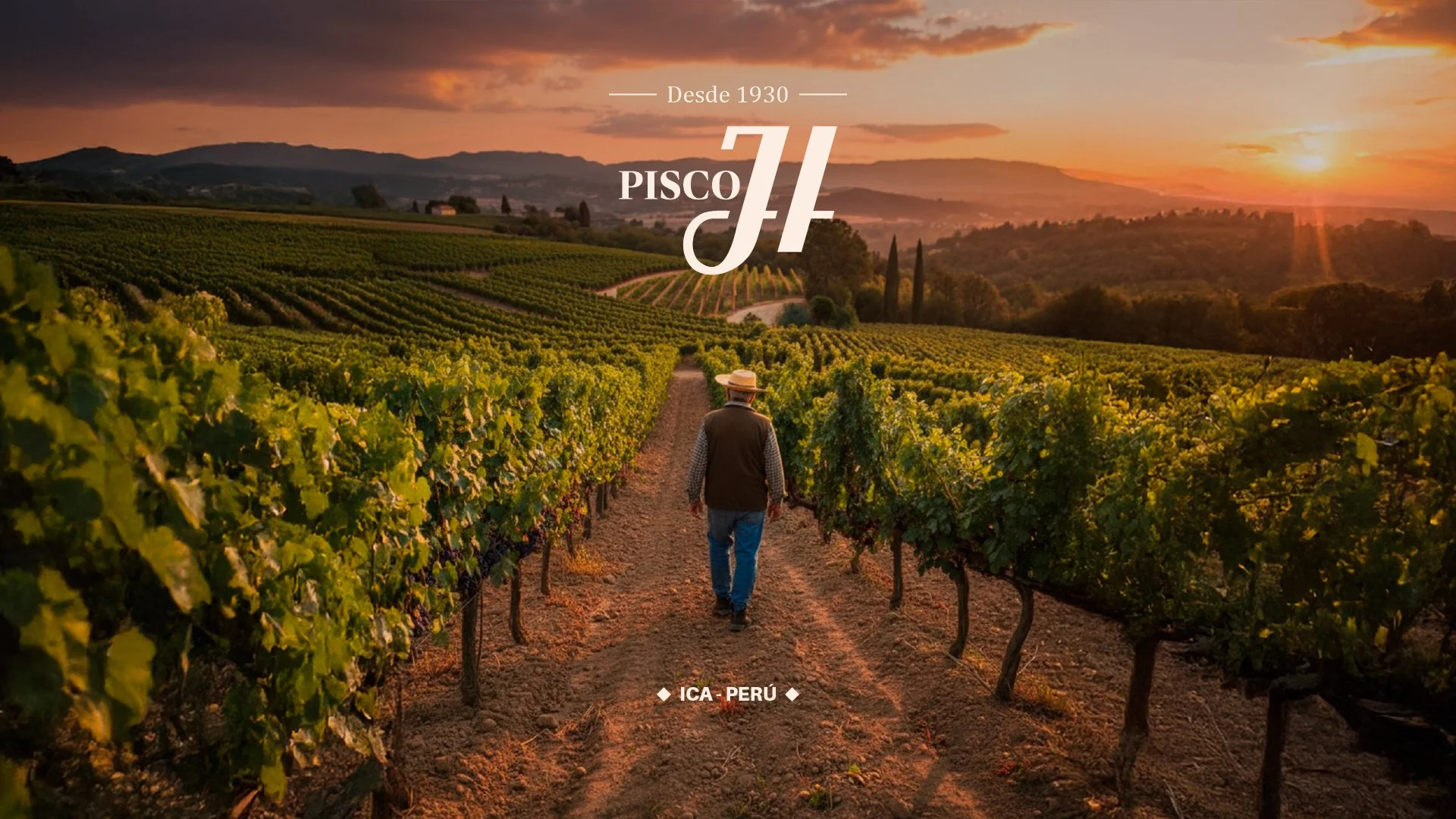 PISCO JH - REFRESH DE MARCA-01.jpg