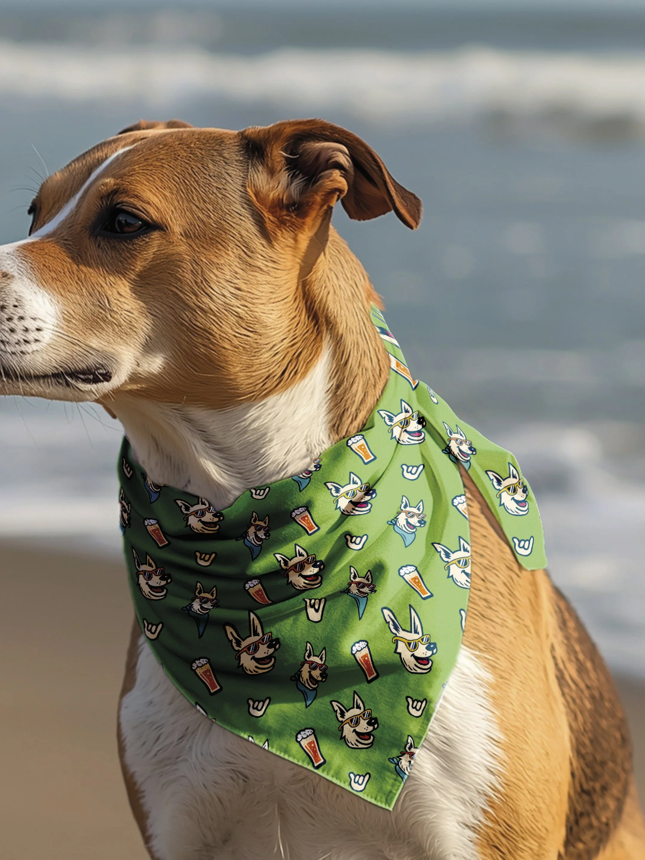 POST - BEACH DAWG-09.jpg