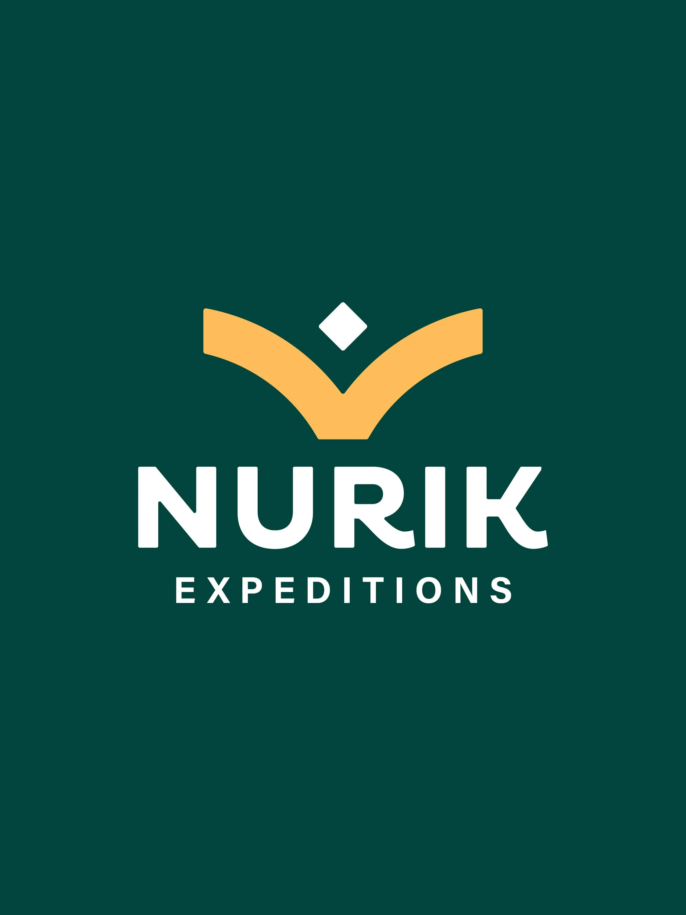 elementos graficos nurik-09.jpg