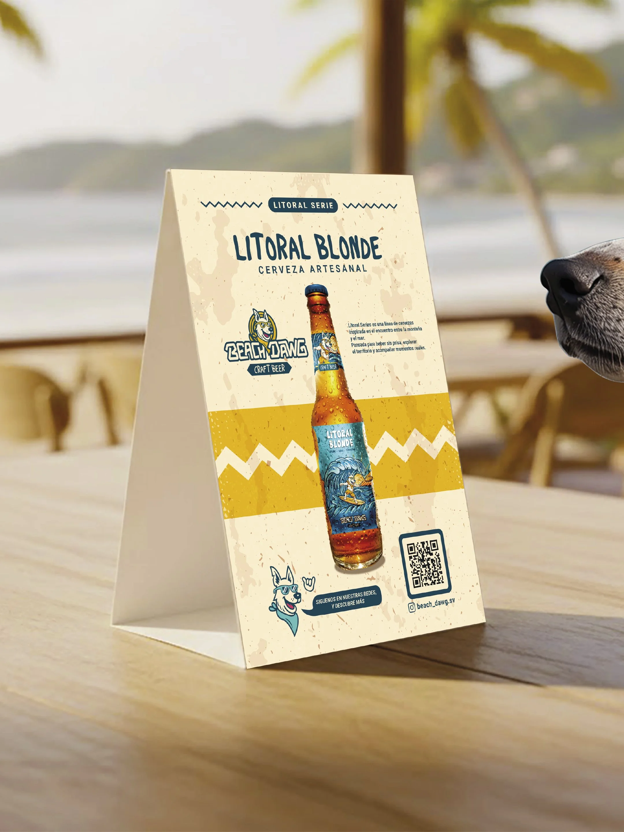 POST - BEACH DAWG-08.jpg