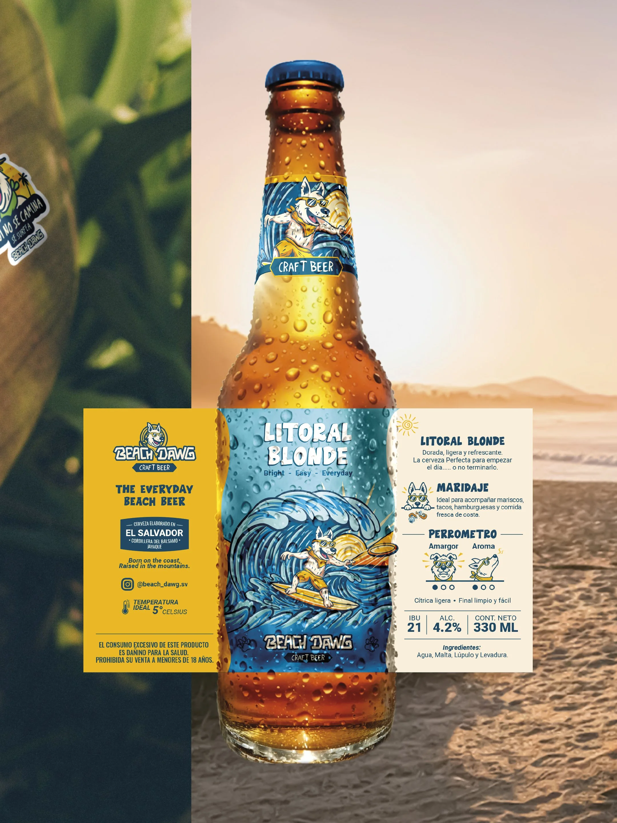 POST - BEACH DAWG-02.jpg