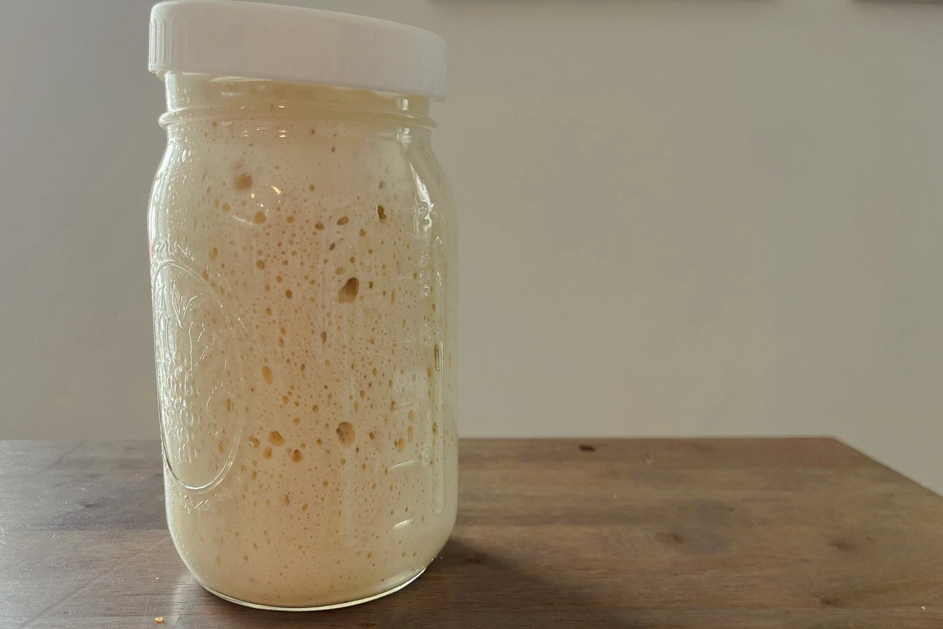 Active sourdough starter