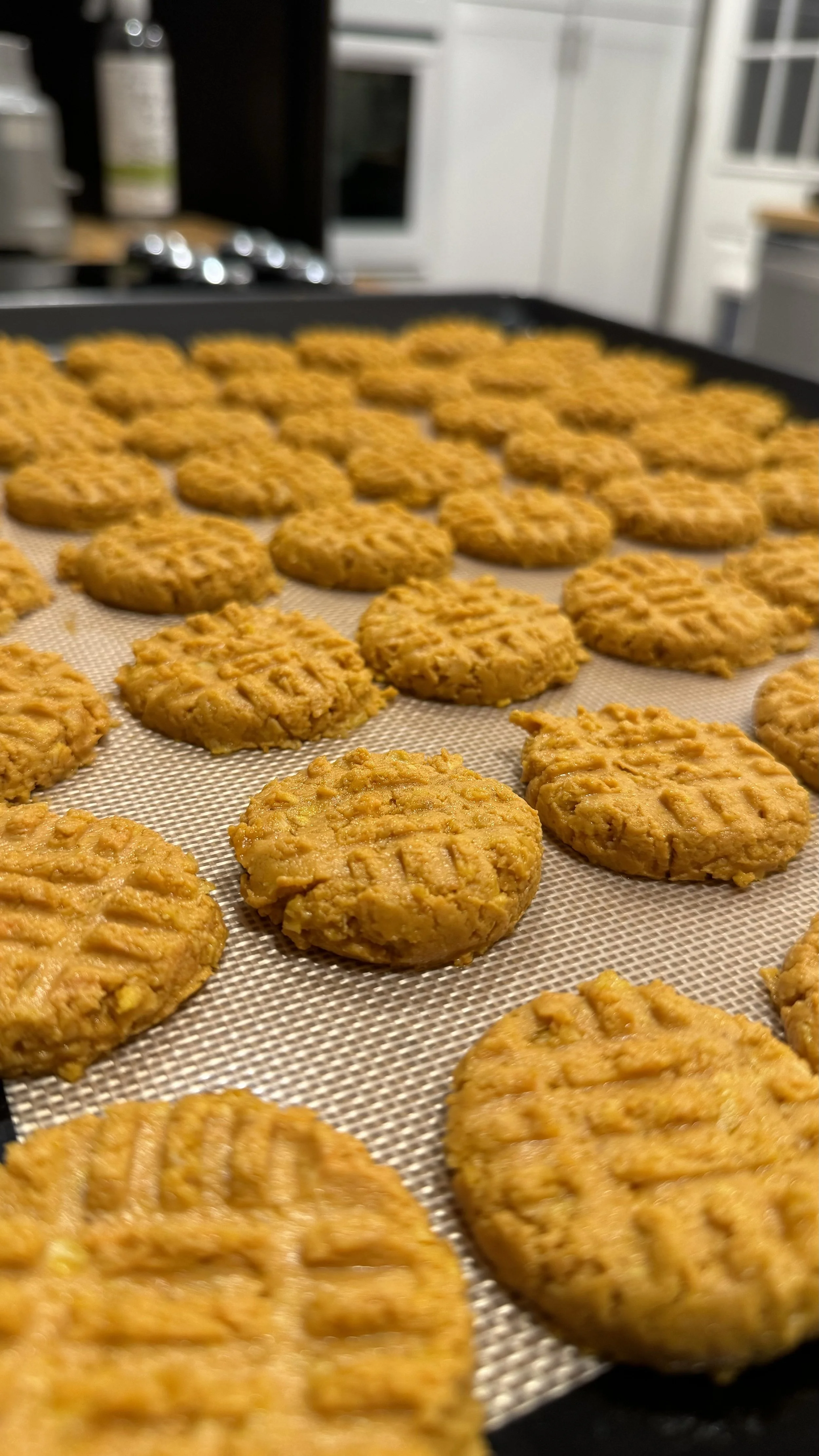 Close-up of freshly baked peanut butter cookies on a baking sheet in a kitchen.