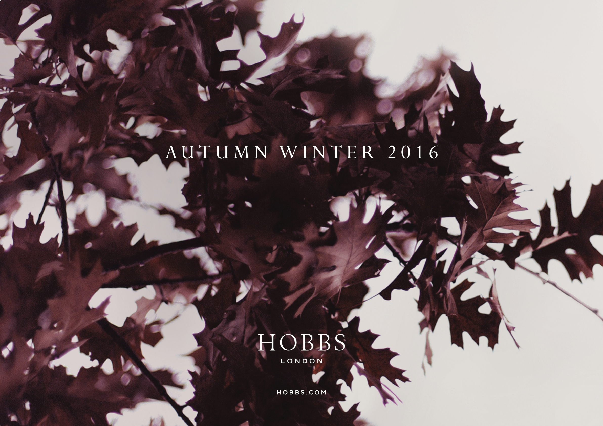 Screenshot 2025-12-03 at 5.29.08 PM.png