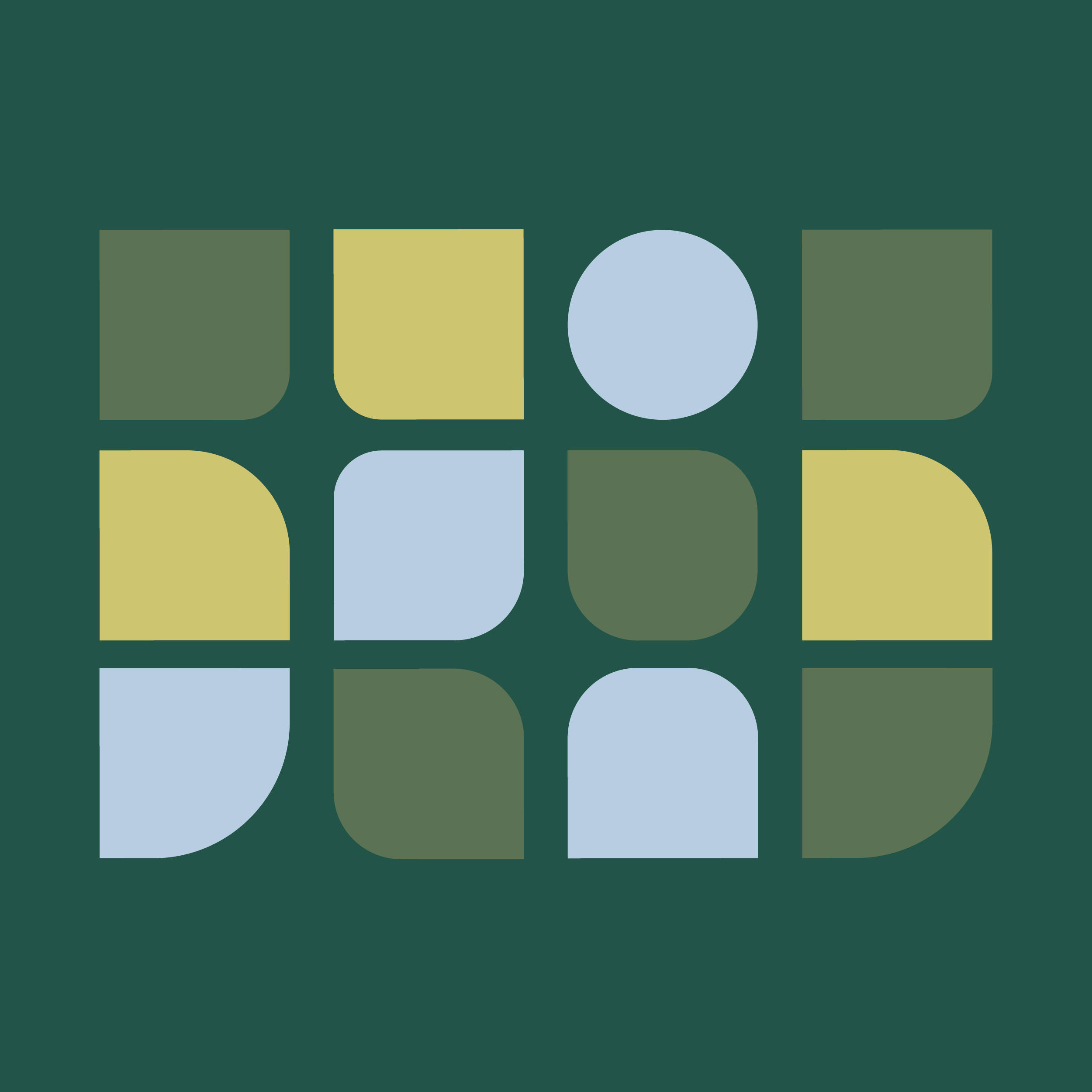 DRPM Folio_Insta3.png