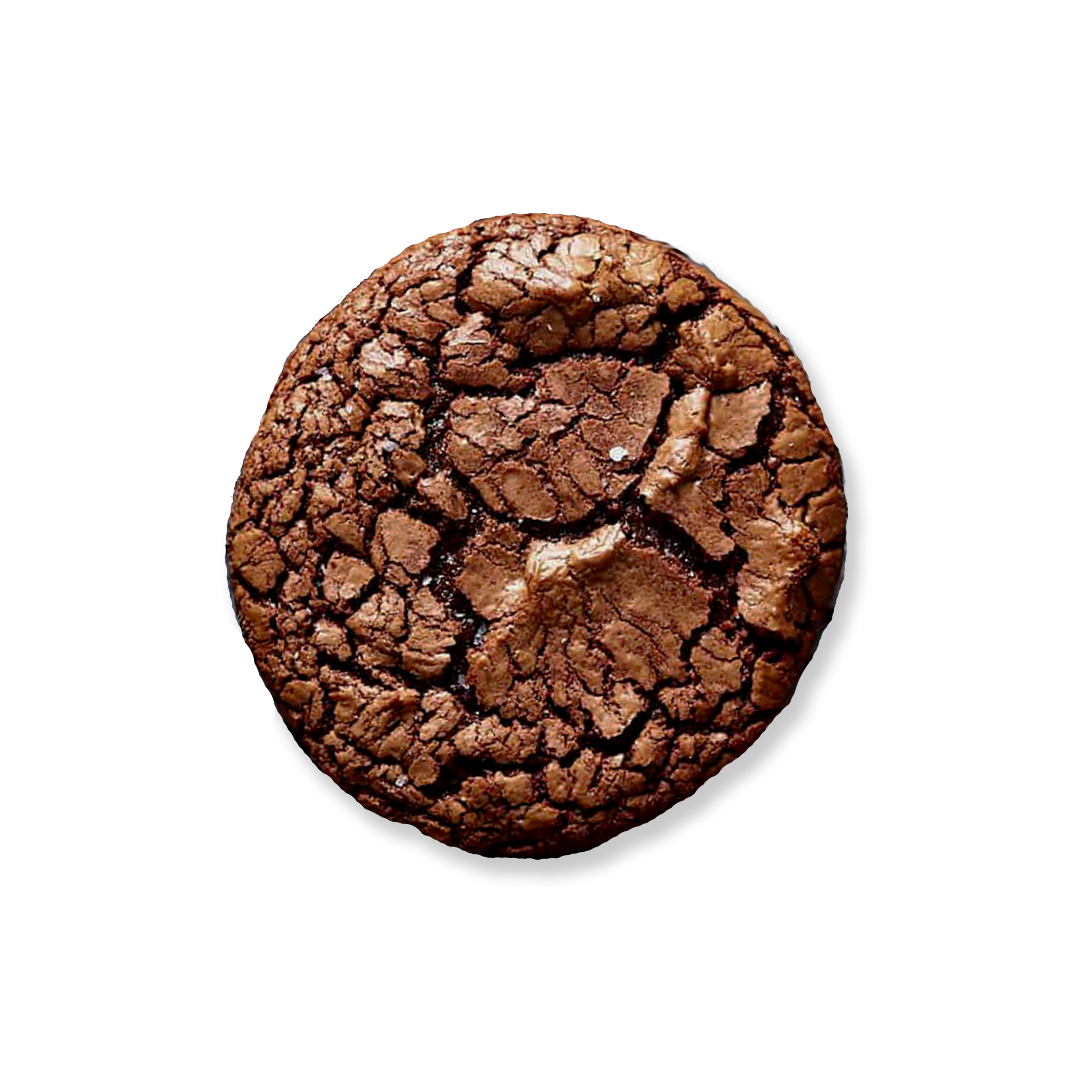The+Cookie+Clubhouse+Fudge+Dream+Cookie.png