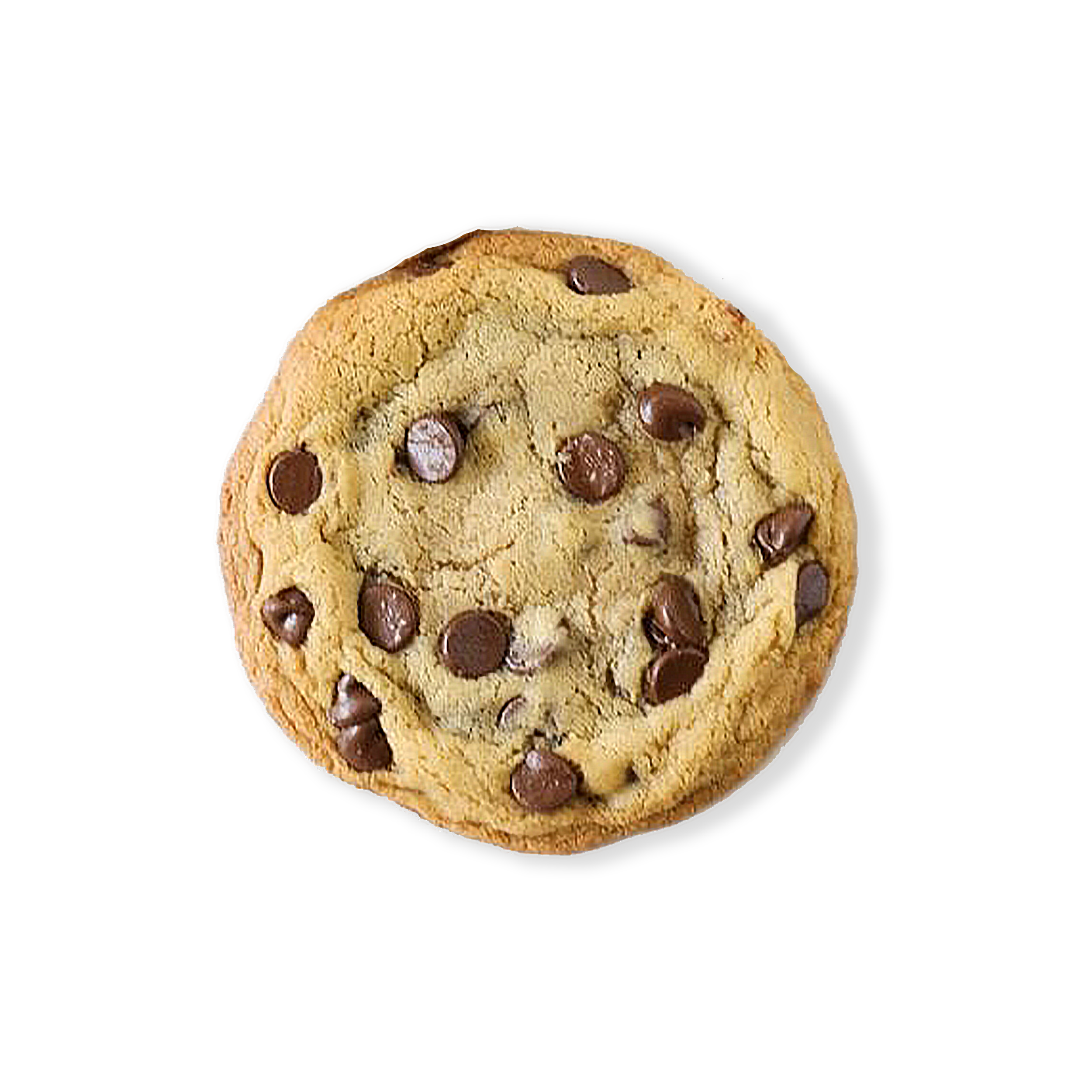 The Cookie Clubhouse Chocolate Haze Cookie.png