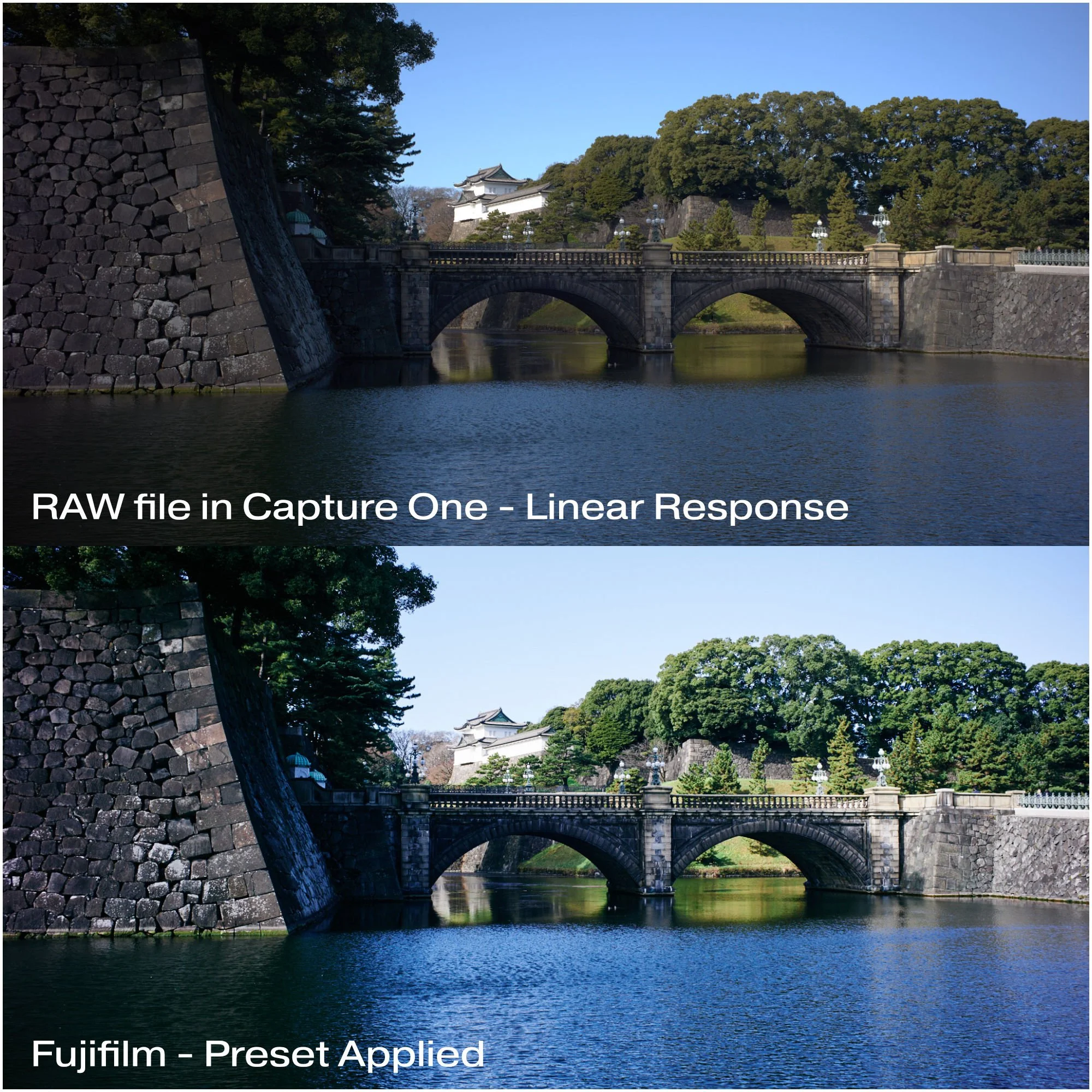 Fuji Pack : Before - After_1.jpg