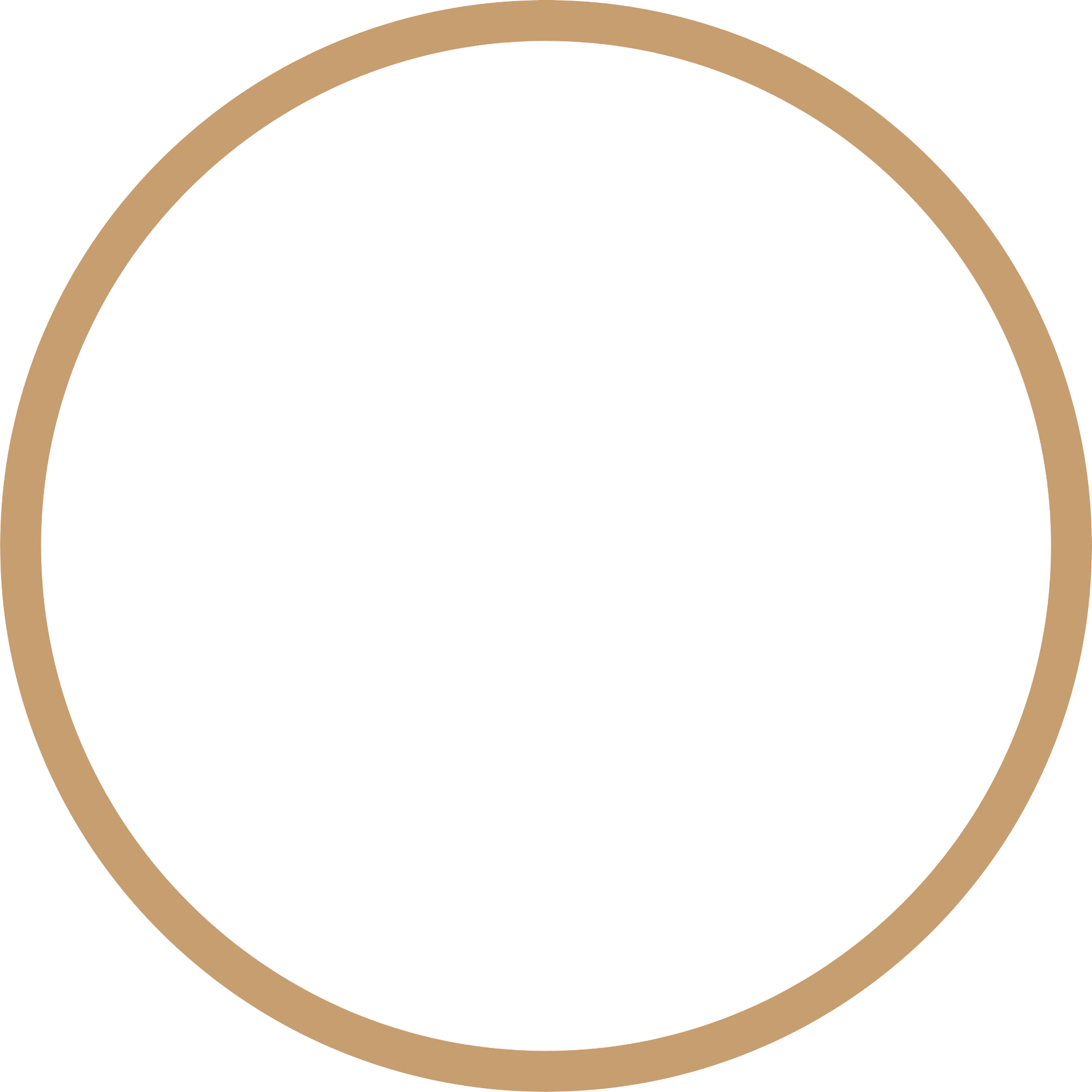 the-gold-room-nina-witenden-award-badge-winner-paddington-business-awards-2026-inverted