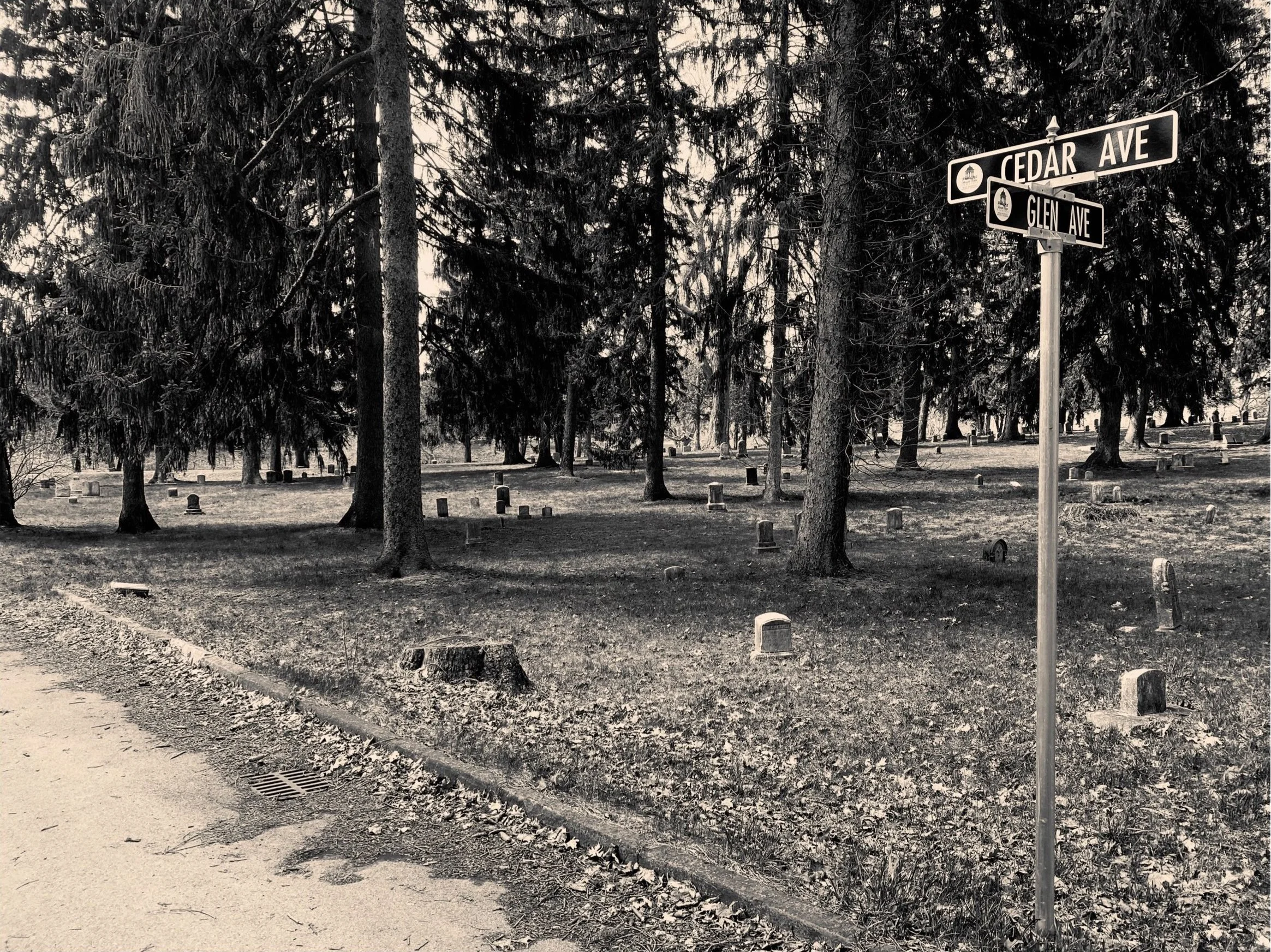Mt.Hope Cemetery- Rochester NY
2022