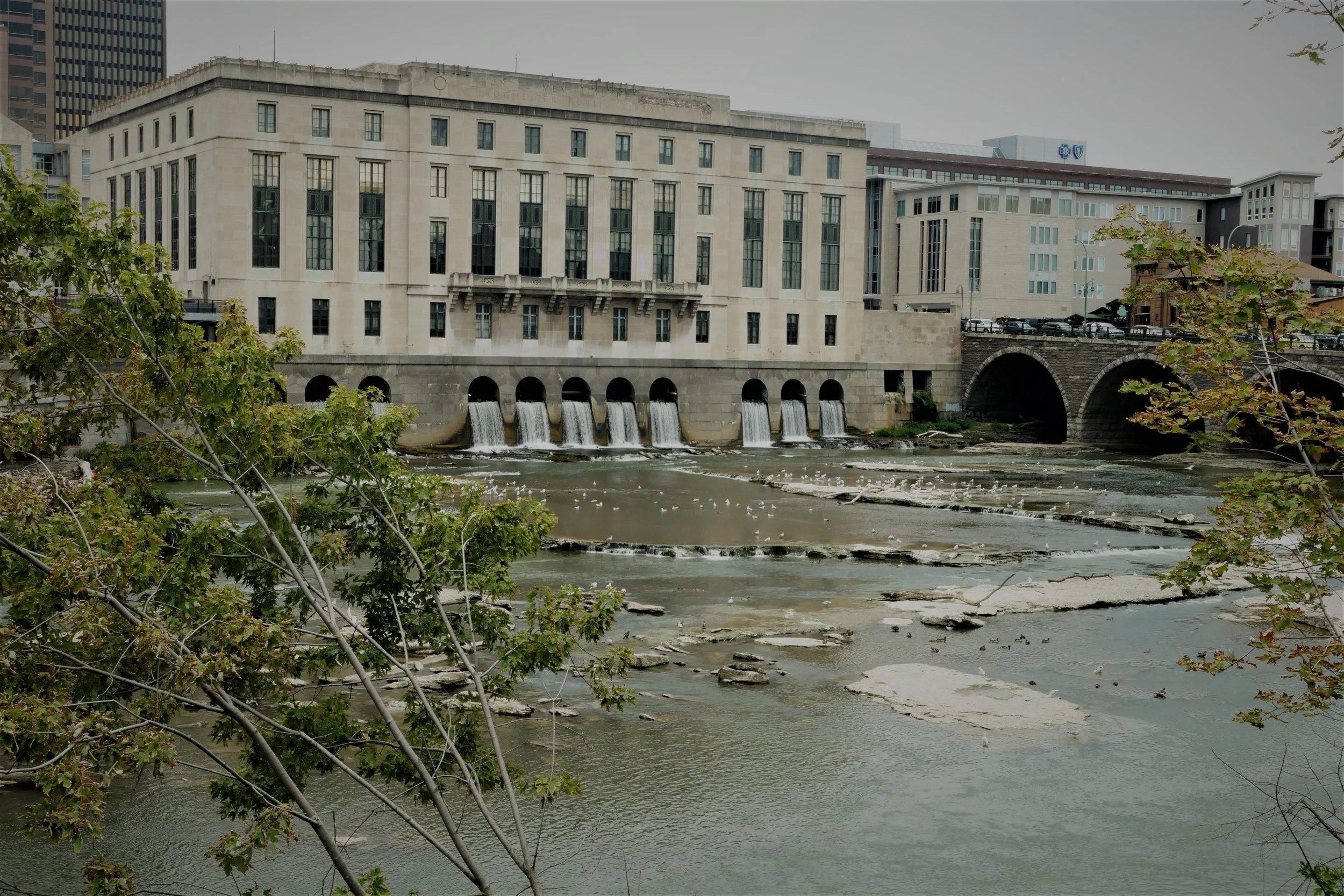 Central Library of Rochester, 2022