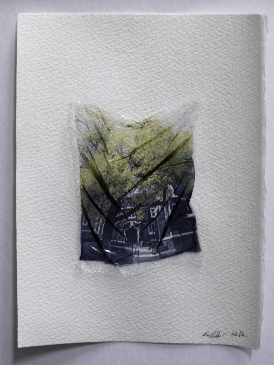 Polaroid Emulsion Lift Class