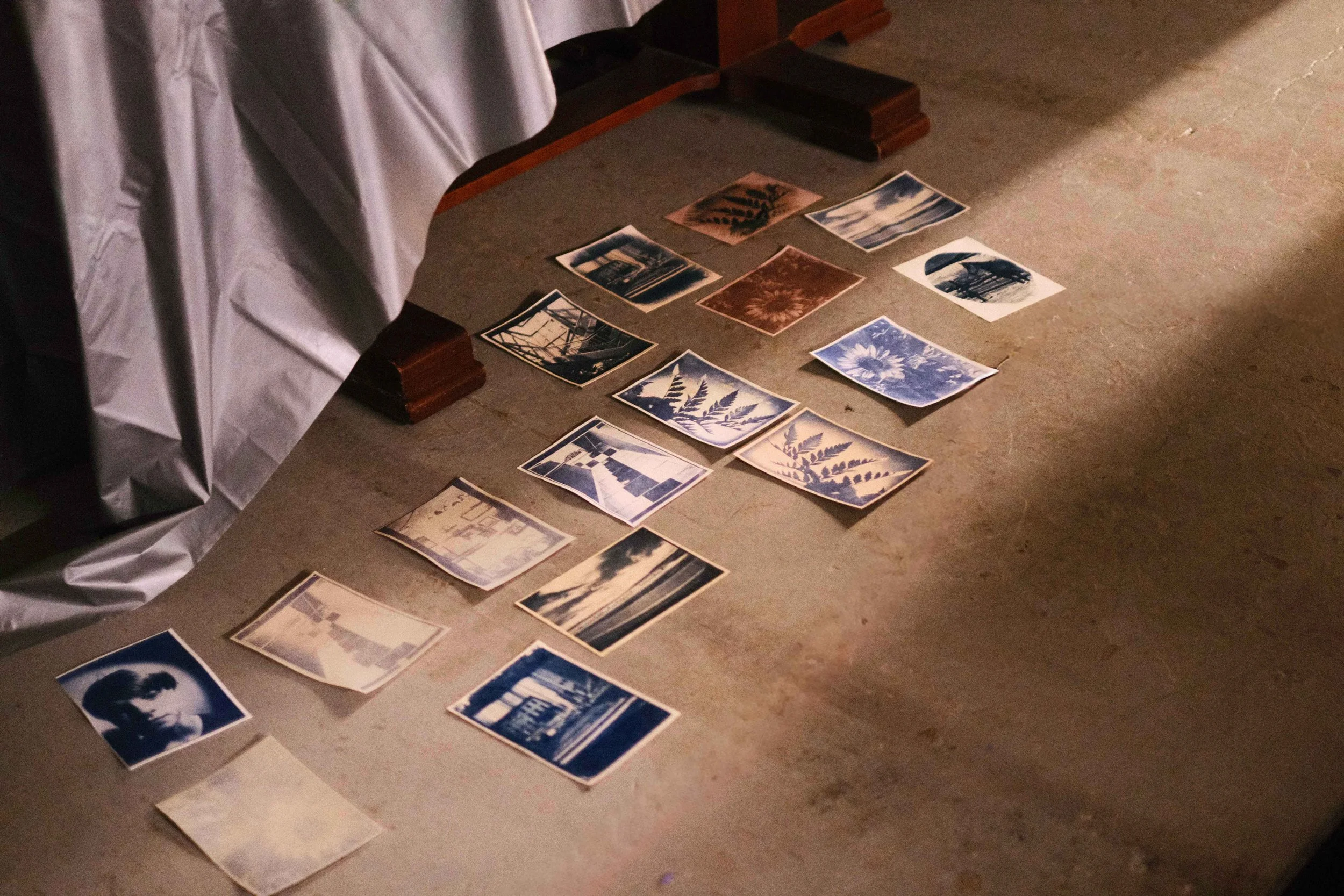 Cyanotype Photography 101