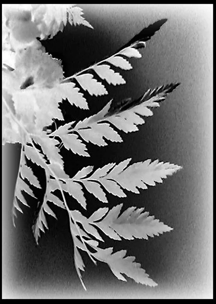 Leaf and Bouquet.jpg