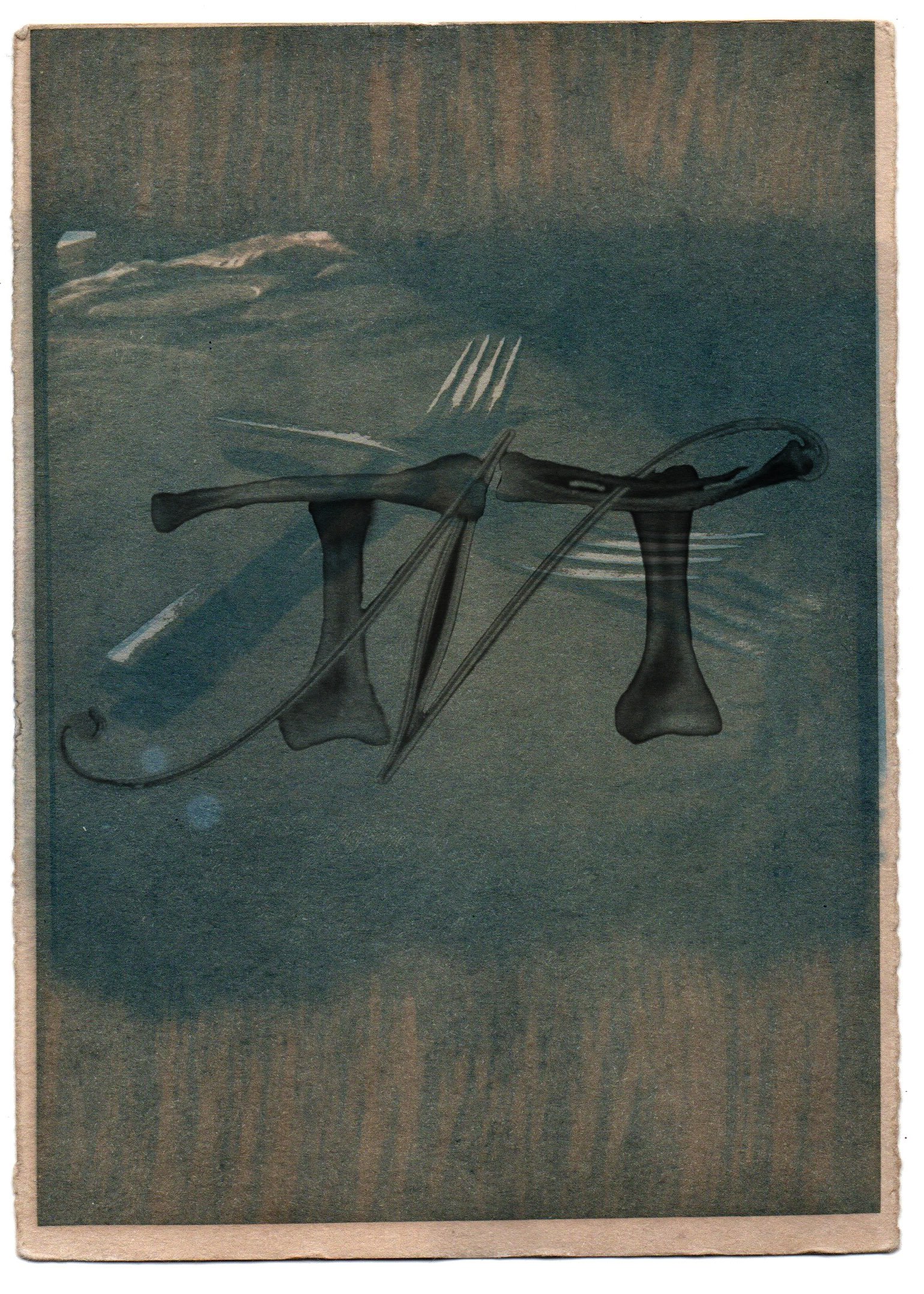 Cyanotype.jpg
