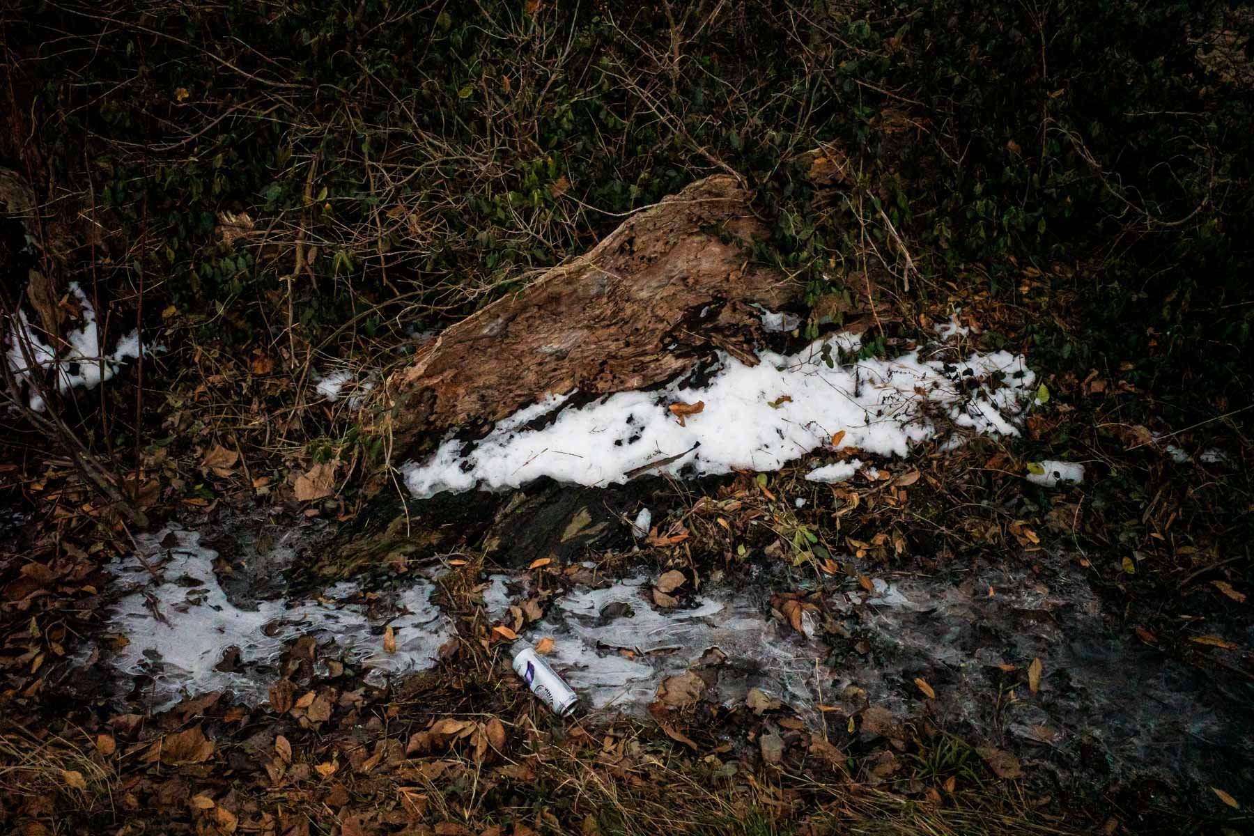 Still.Life.Jan.2025.26.-3.jpg