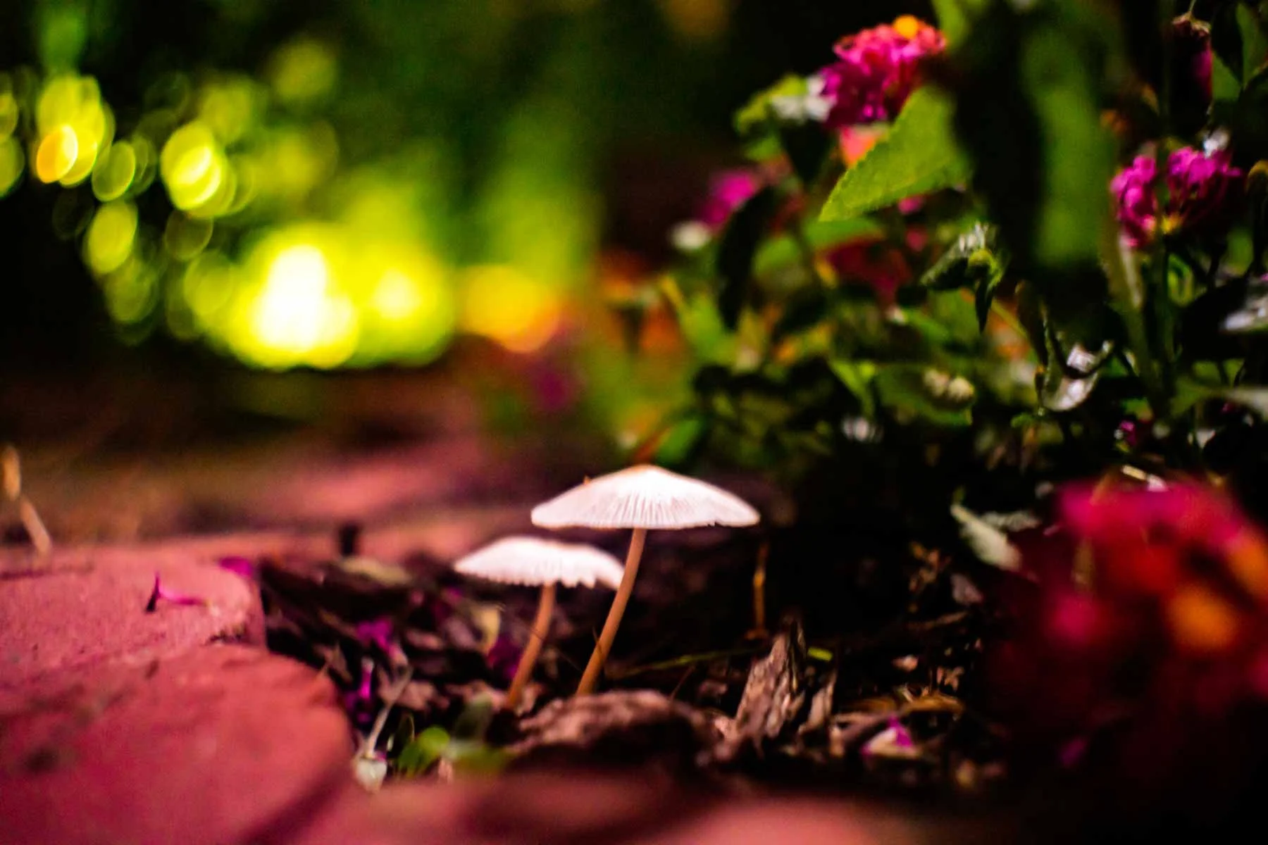 push your seats back a little further 