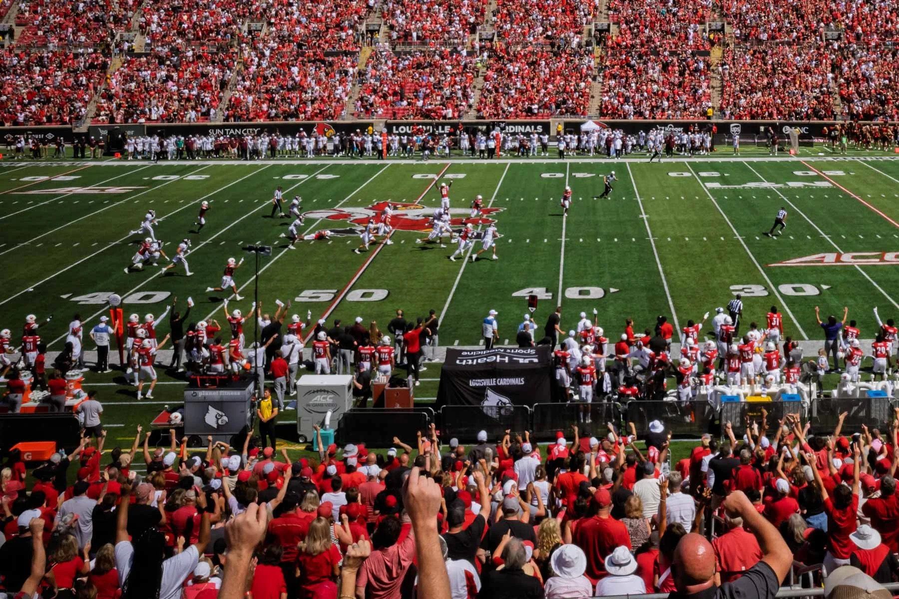 Still.Life.aug.2025.30.UofL-102.jpg