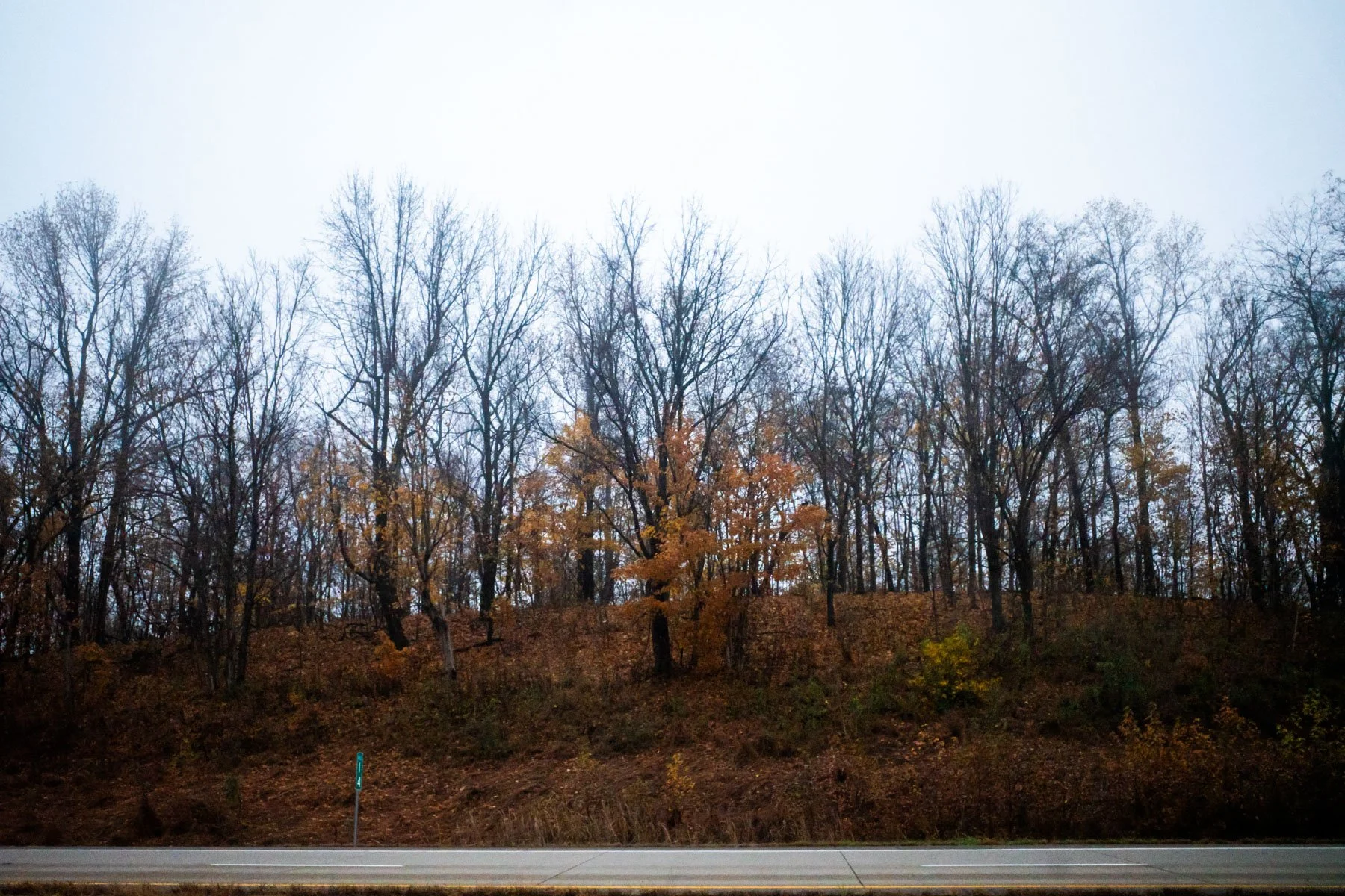 2025-11-19-still-life--01.jpg