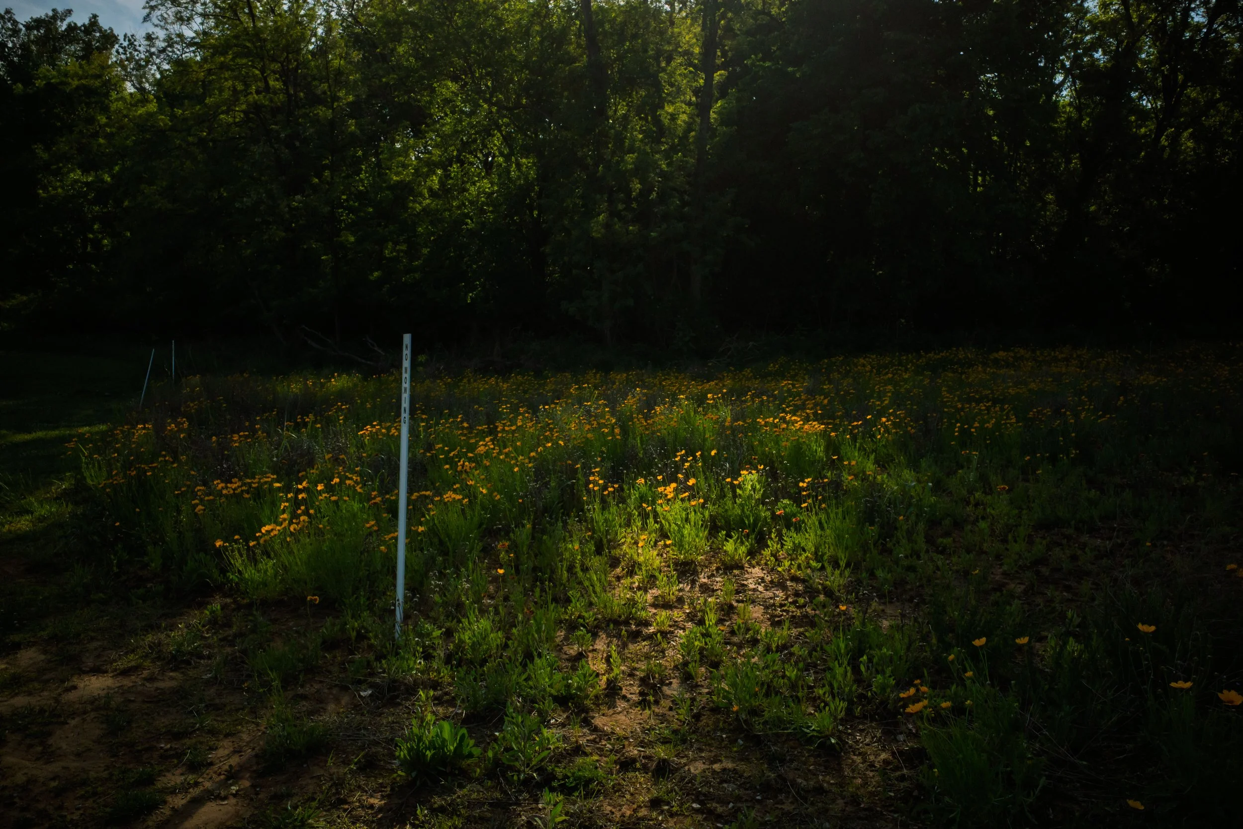 2026-04-30-still-life-PiM--072.jpg