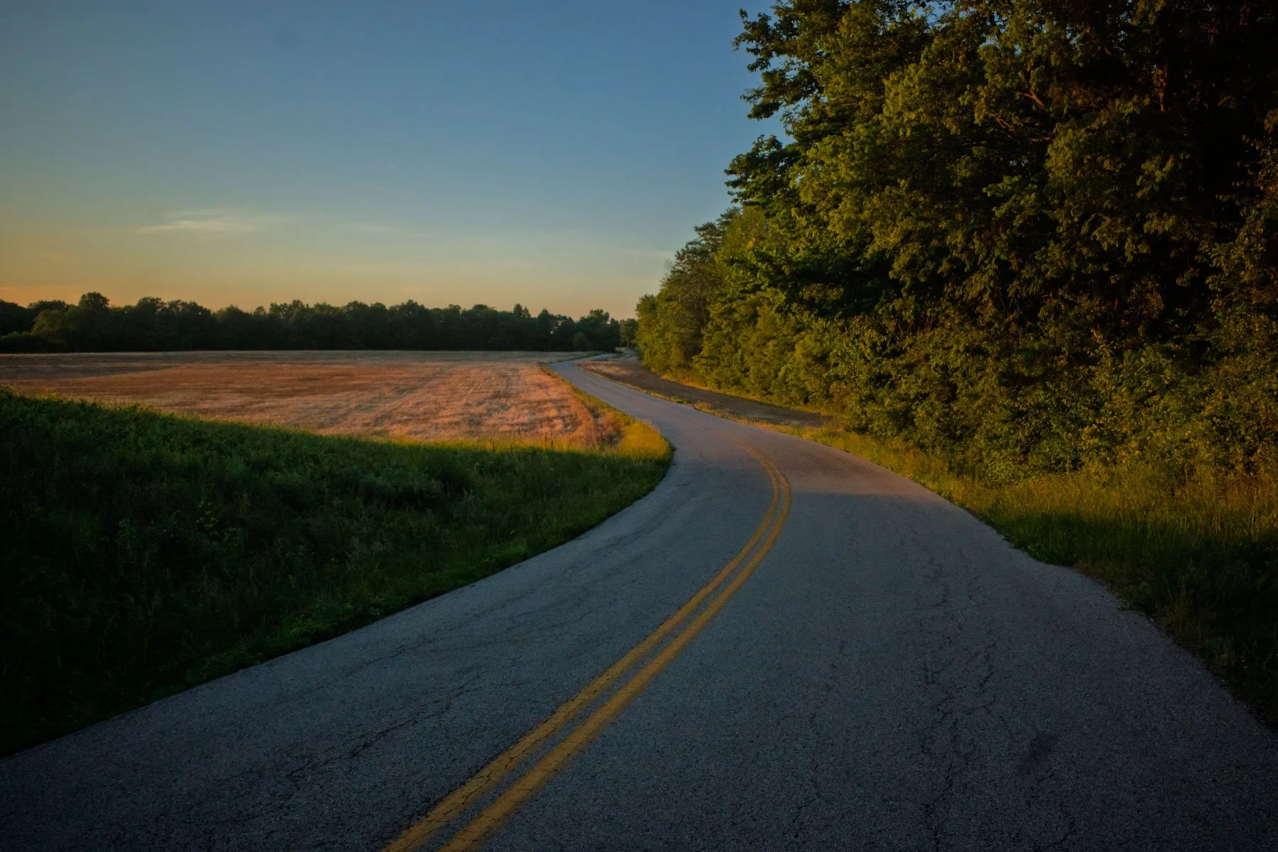 2026-05-14-still-life-PiM--20.jpg