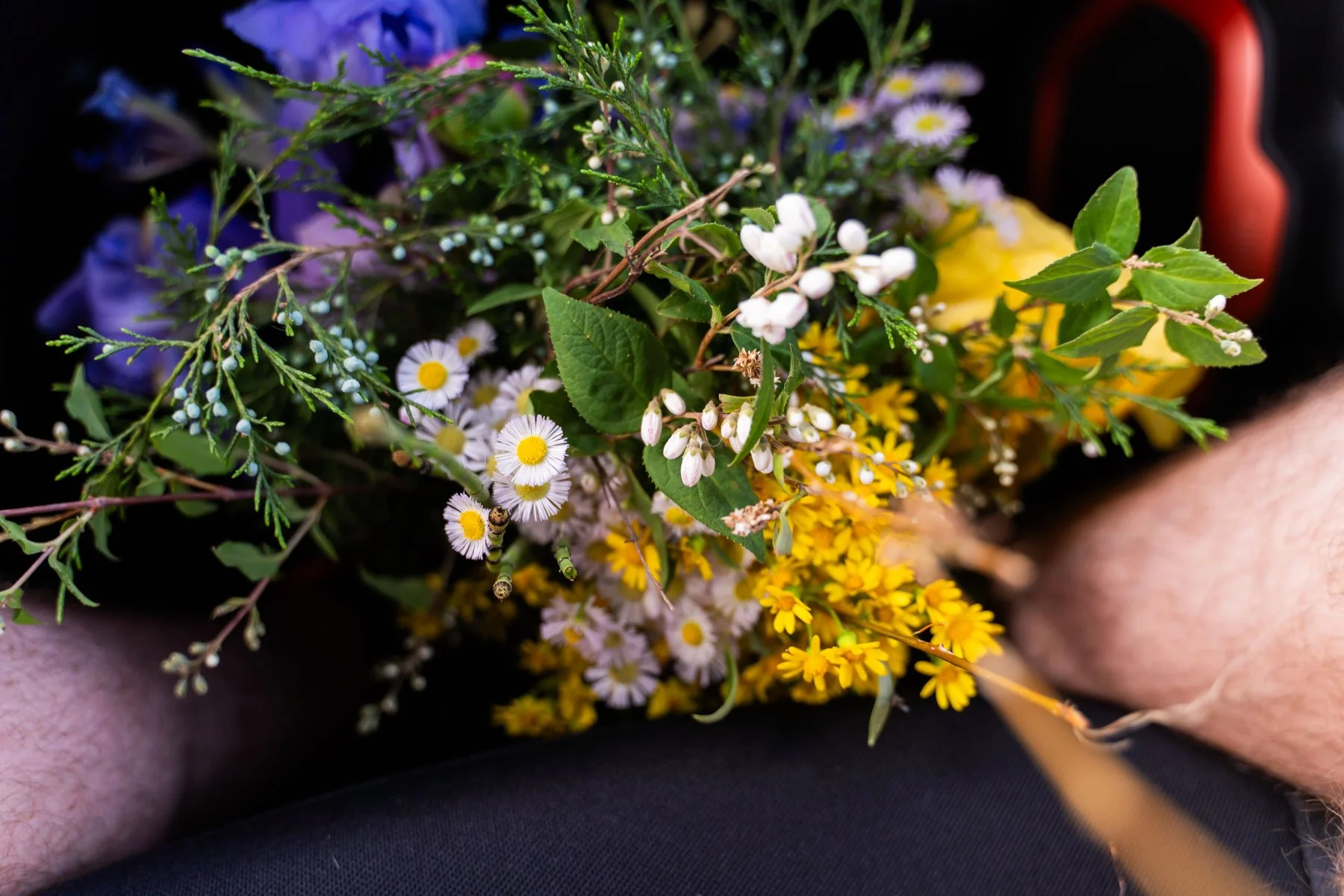 2024-05-01-still-life-PiM--35.jpg