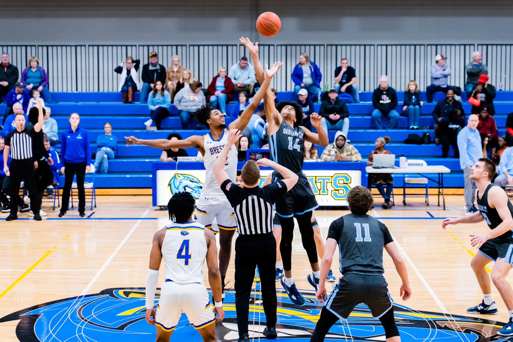 2023-02-09-still-life-Brescia-bball--06.jpg