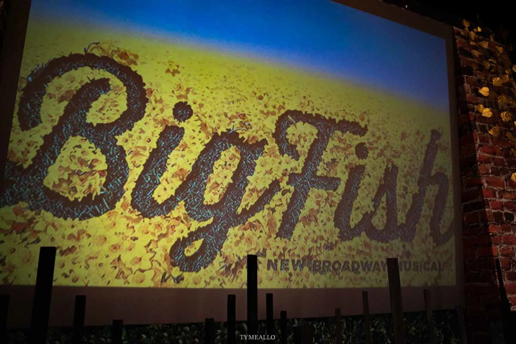 2023-05-18-still-life-BigFish-dress--007.jpg