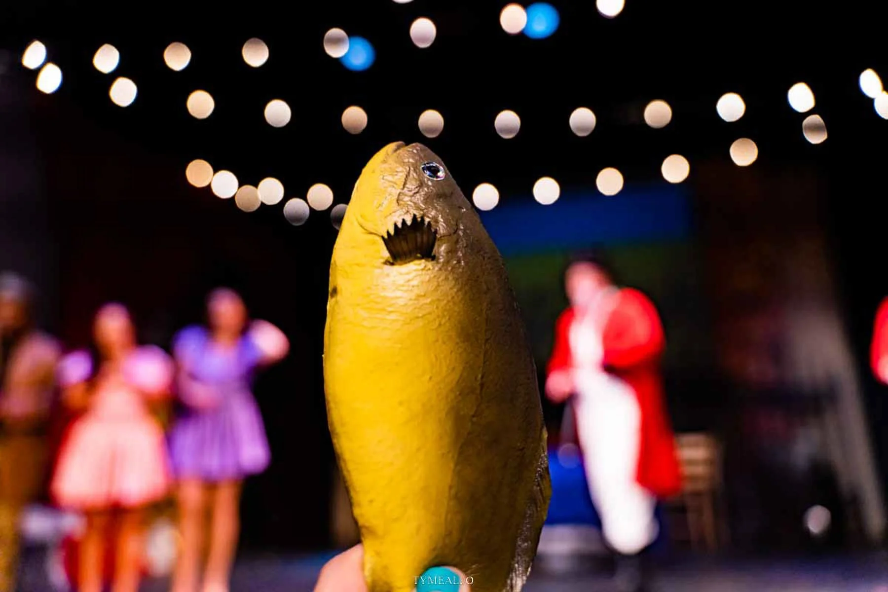 2023-05-18-still-life-BigFish-dress--242.jpg