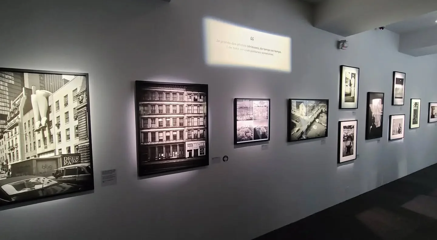 &quot;I appreciate simplicity, true beauty that lasts over time, and a little wit and eclecticism that make life more fun.&quot; Elliott Erwitt. 

#elliotterwitt #elliotterwittphotography #elliotterwittassignment #elliotterwittdogs #architecture #des