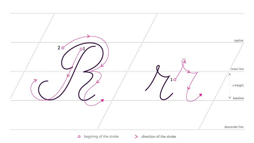 Rr — Loops & Tails