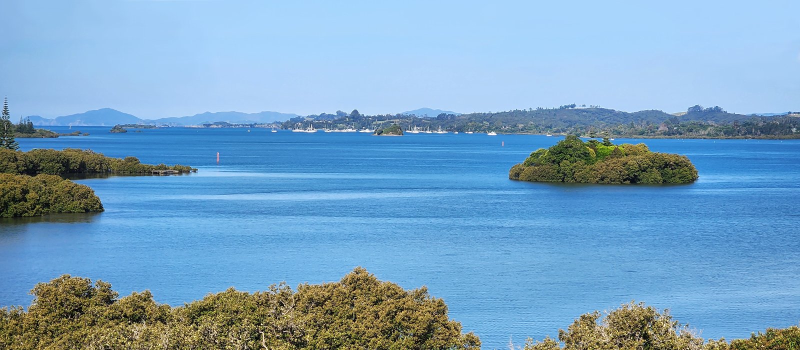 Piwakawaka Lodge_View_02.jpg