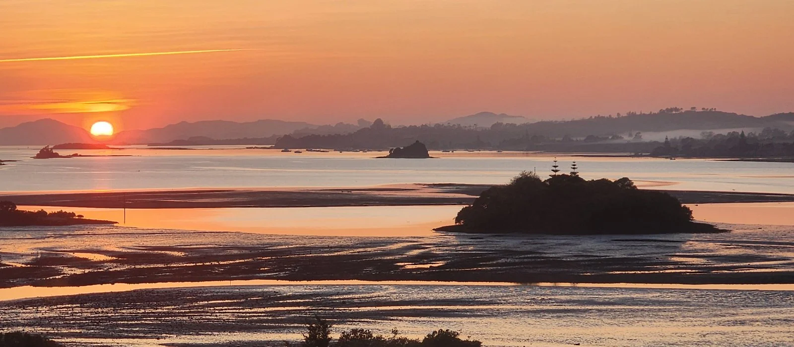 Piwakawaka Lodge_Tidal Sunrise View.jpg