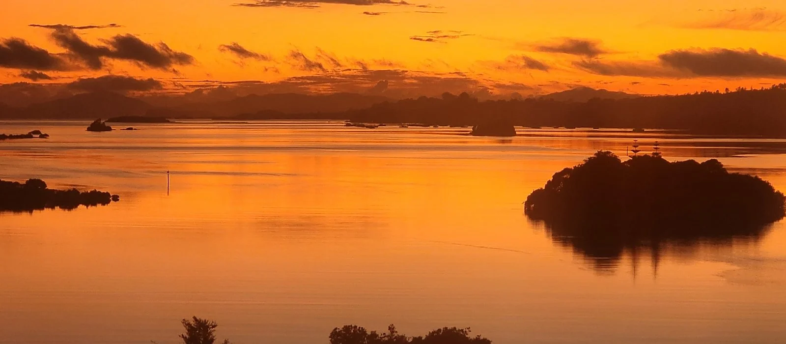 Piwakawaka Lodge_Sunrise View.jpg