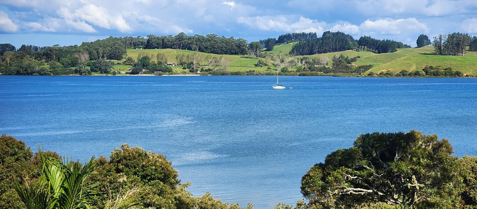 Piwakawaka Lodge_View_04.jpg