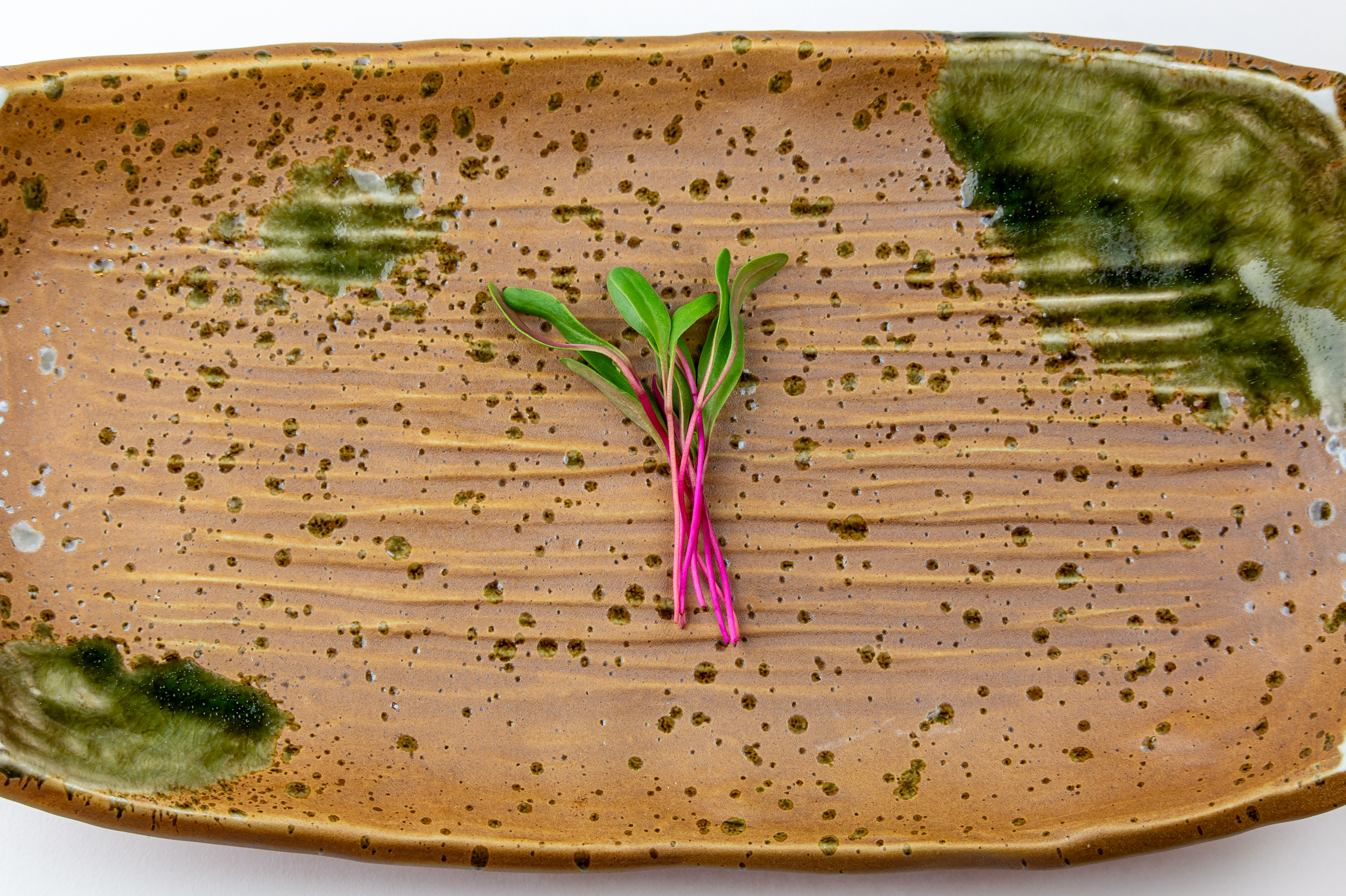 A small green plant with pink stems on a speckled, textured rectangular ceramic plate.