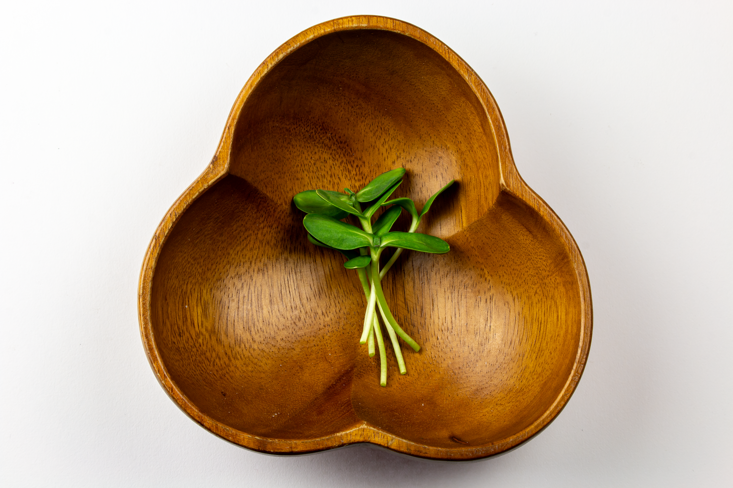 A wooden three-section bowl with a green sprig of herbs inside, placed on a white surface.