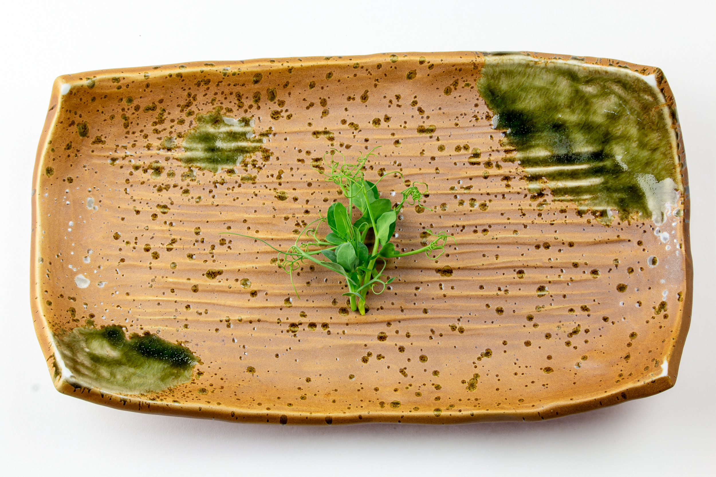 A rectangular ceramic plate with a brown glaze and green accents, holding a small green plant in the center.