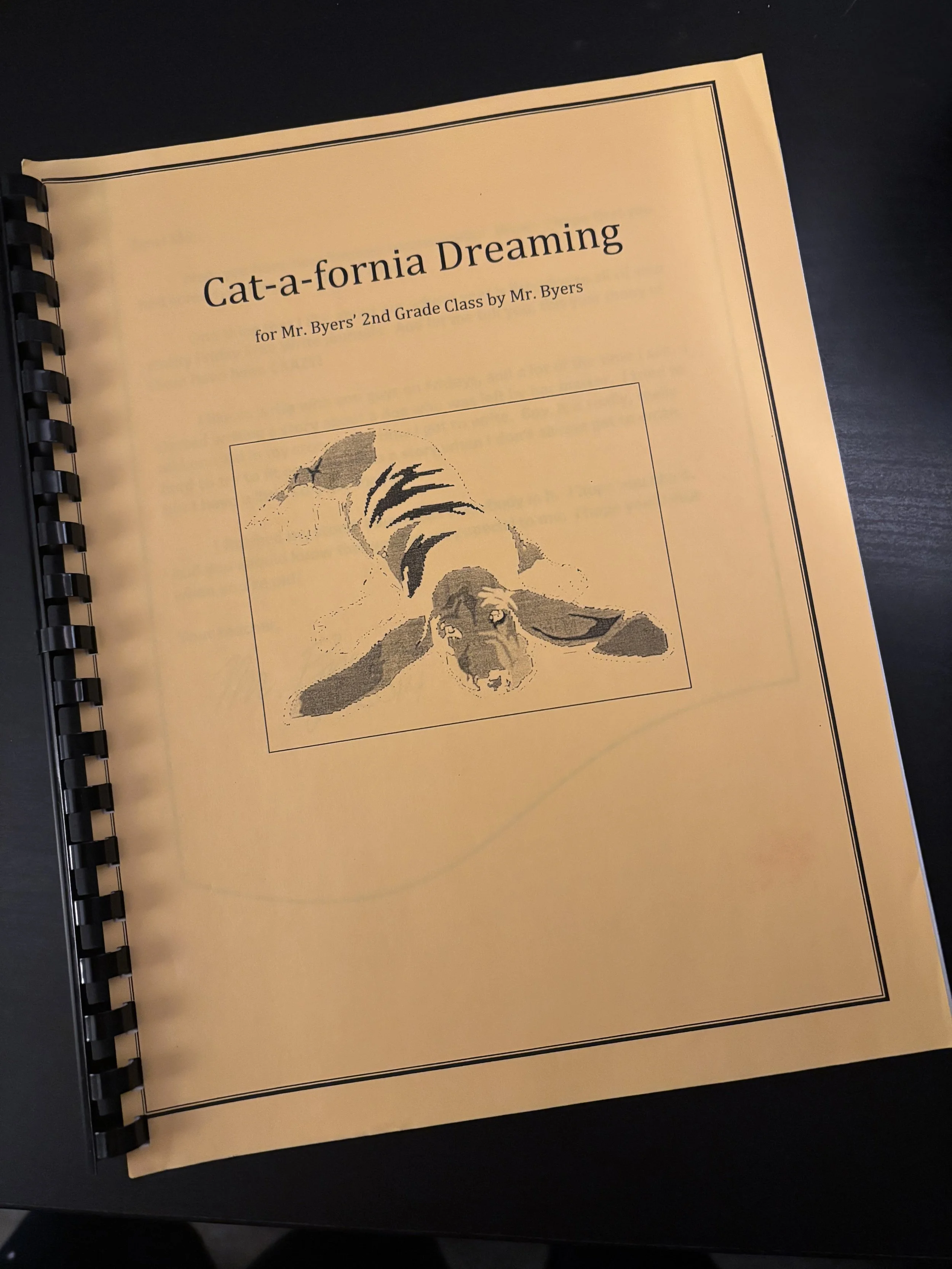2014: Cat-a-fornia Dreaming