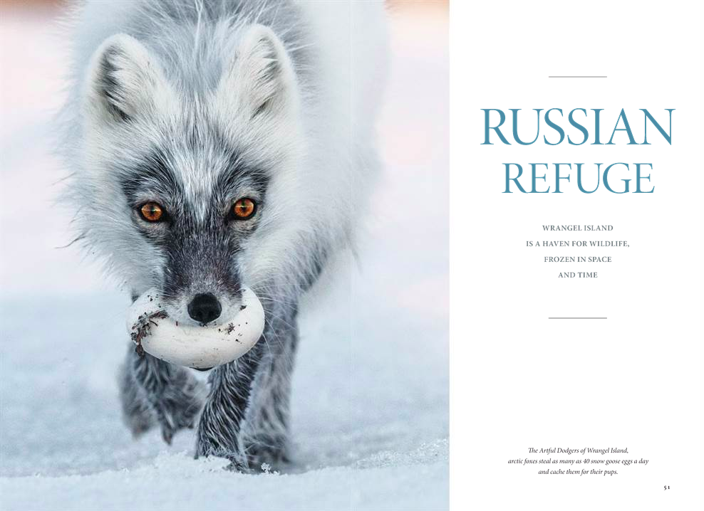 WRANGEL ISLAND.png