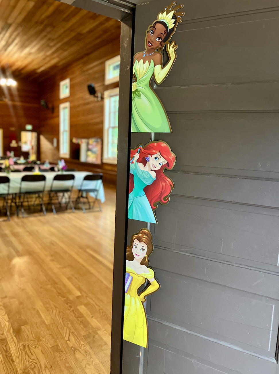 Vertical display of cartoon princess characters attached to a wall in a room with wooden walls and tables. The characters include a princess with dark skin and green dress, a red-haired princess, and a princess with light brown hair and yellow dress.