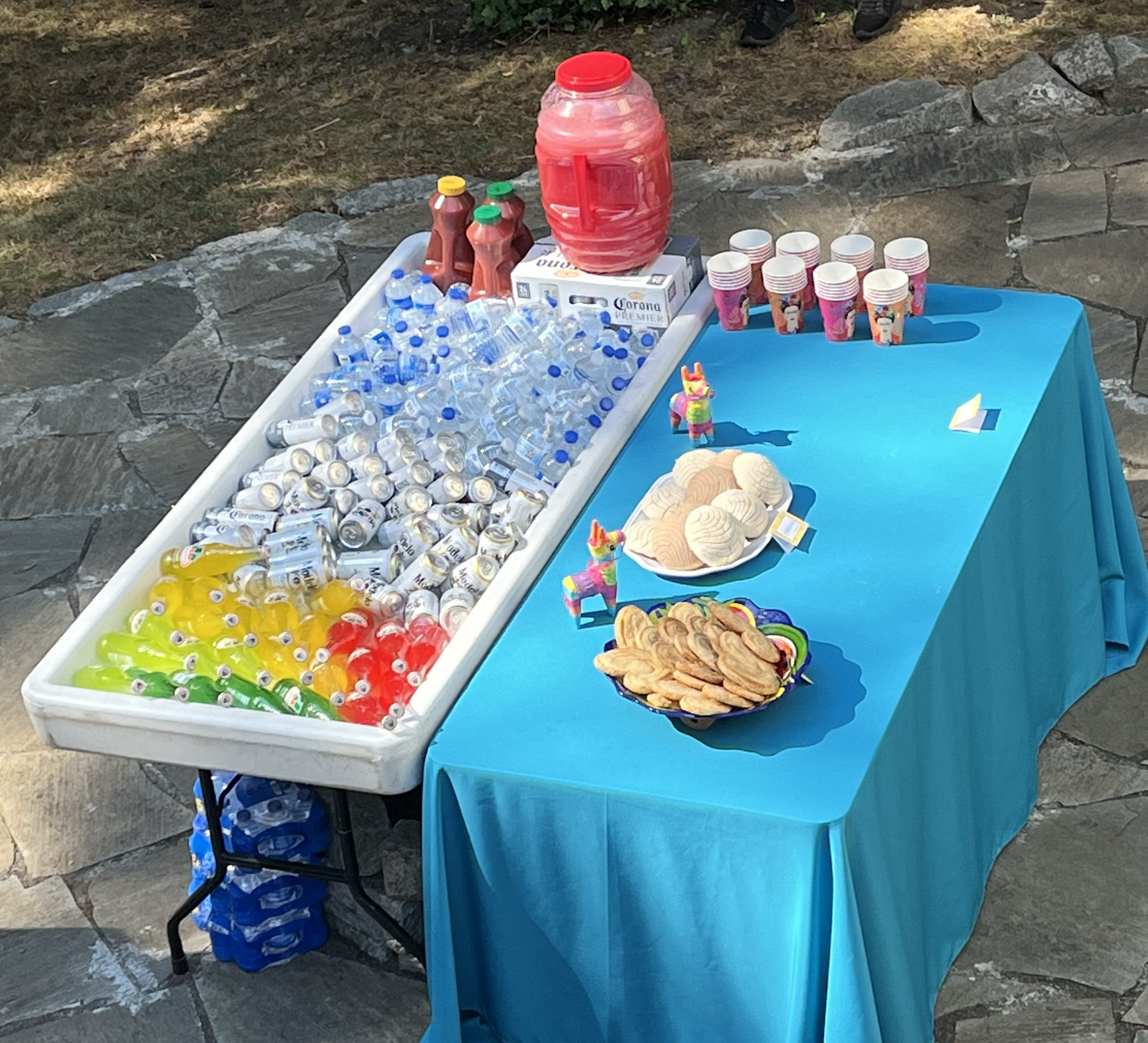 Party refreshment table with soda, water, cups, snacks, and llama decorations on a blue tablecloth.