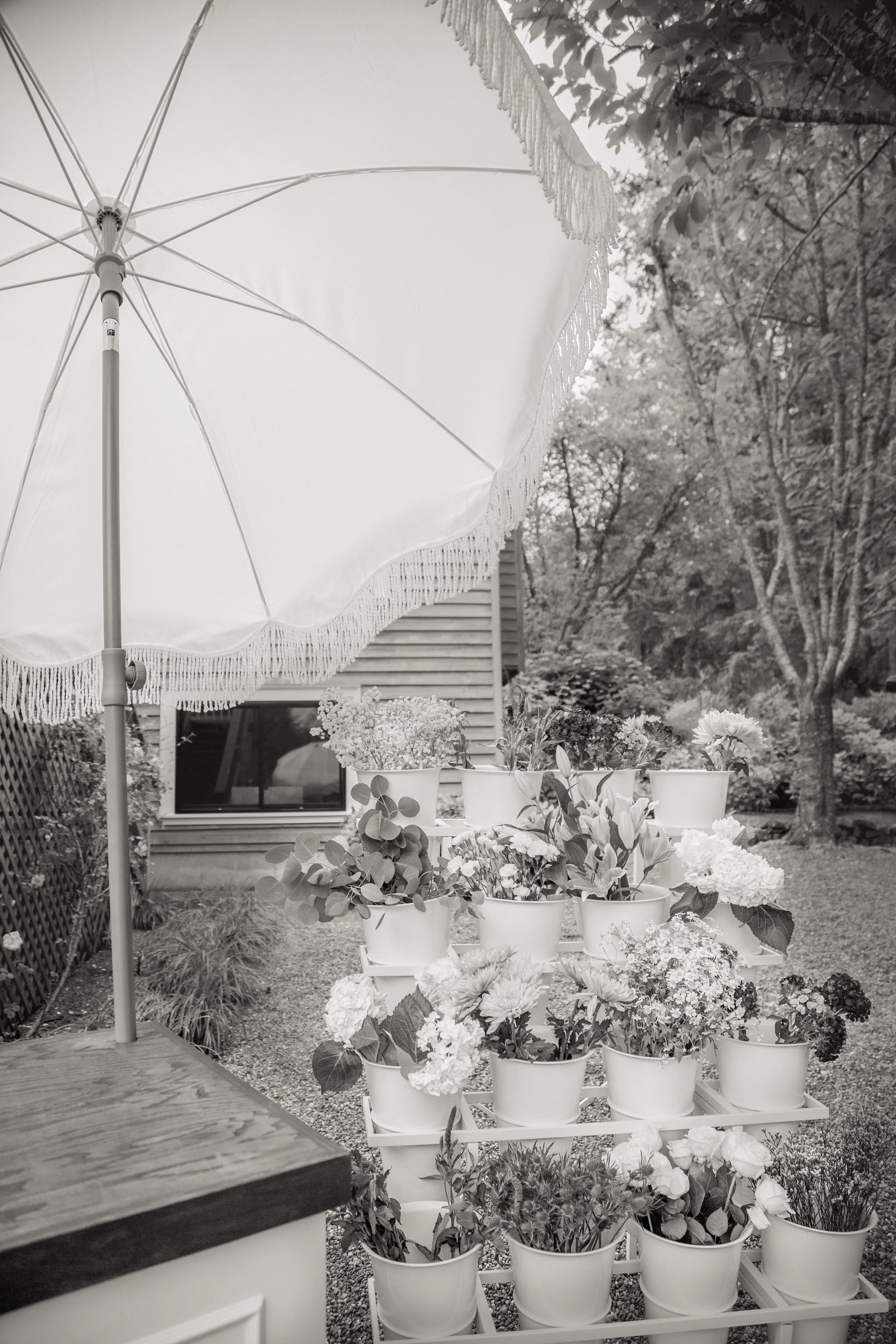 A garden scene featuring numerous potted plants with flowers arranged on a white rack in the foreground. A large white parasol with fringed edges shades part of the garden, and in the background, there are trees, foliage, a building with horizontal siding, and a window.