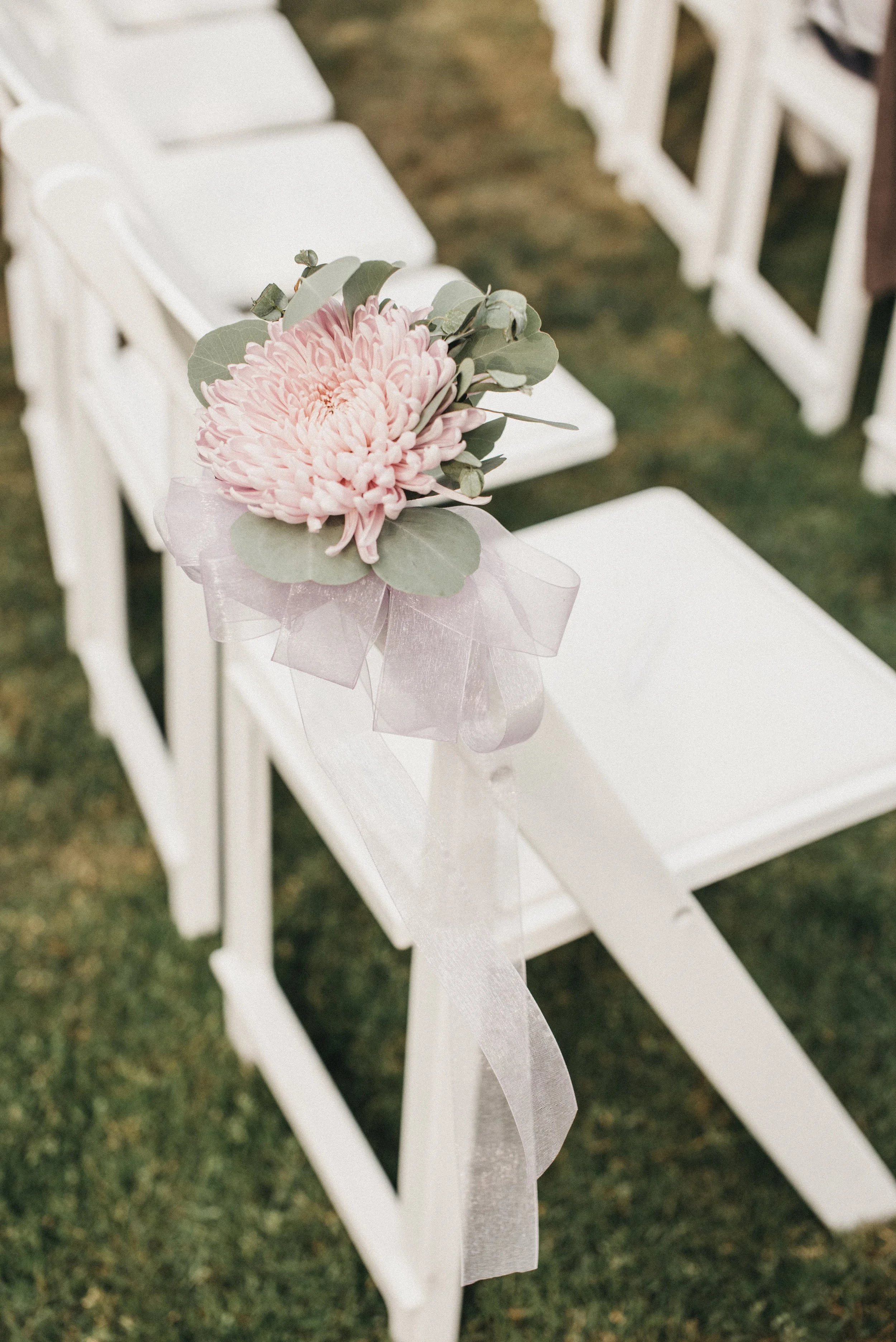 White chairs decorated for a wedding, adorned with a pink chrysanthemum flower bouquet and sheer ribbon.