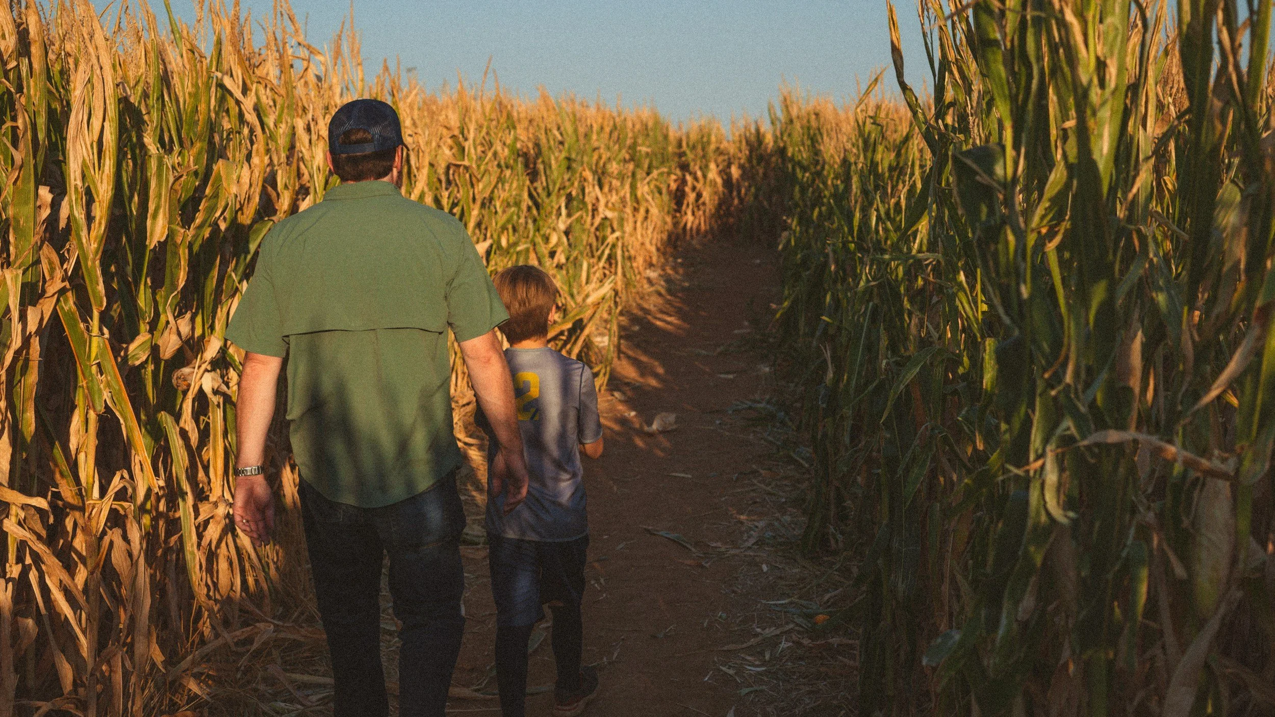 Church Corn Maze Night